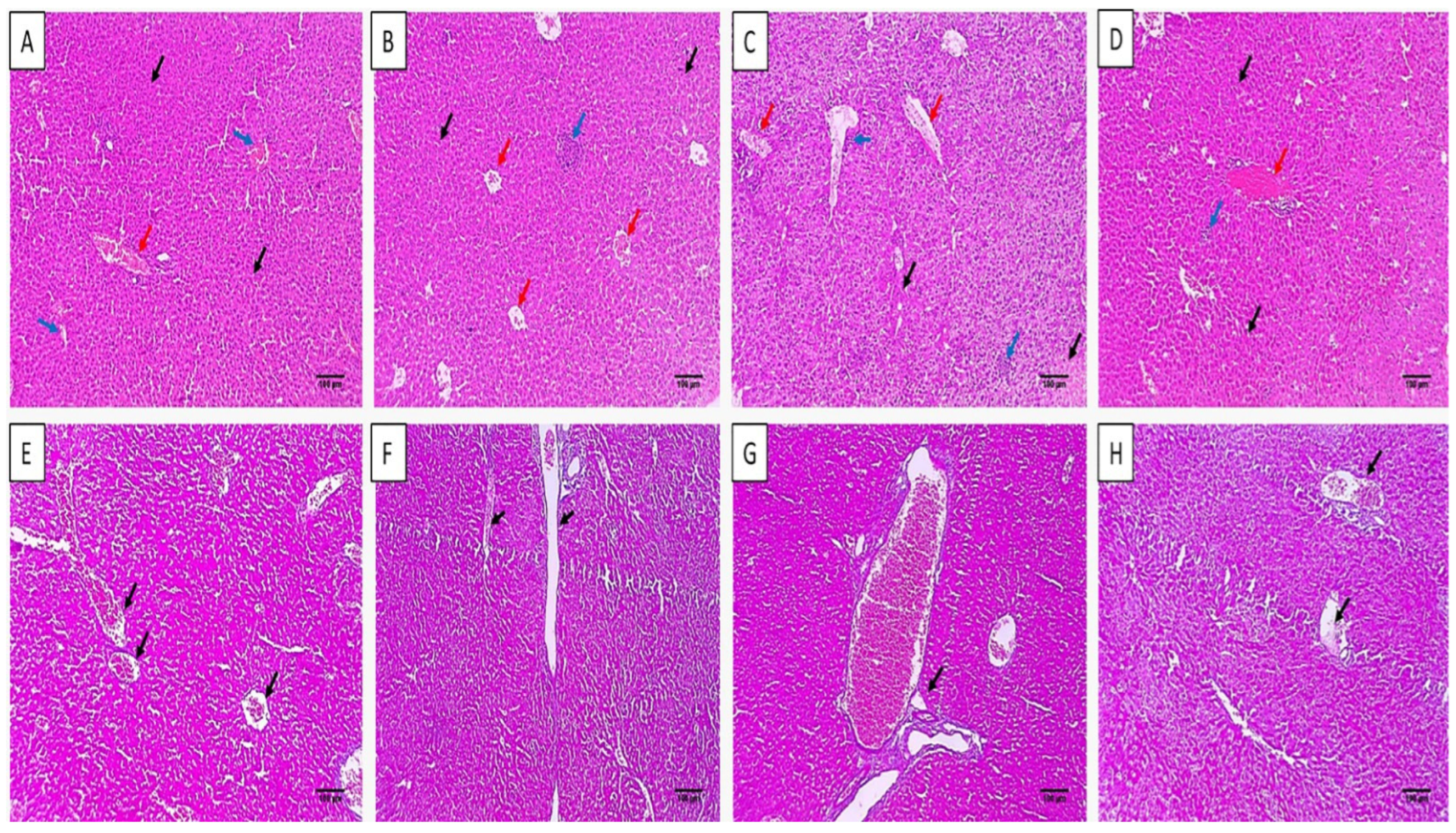 Microorganisms 11 02247 g007 Microorganisms 11 02247 g007