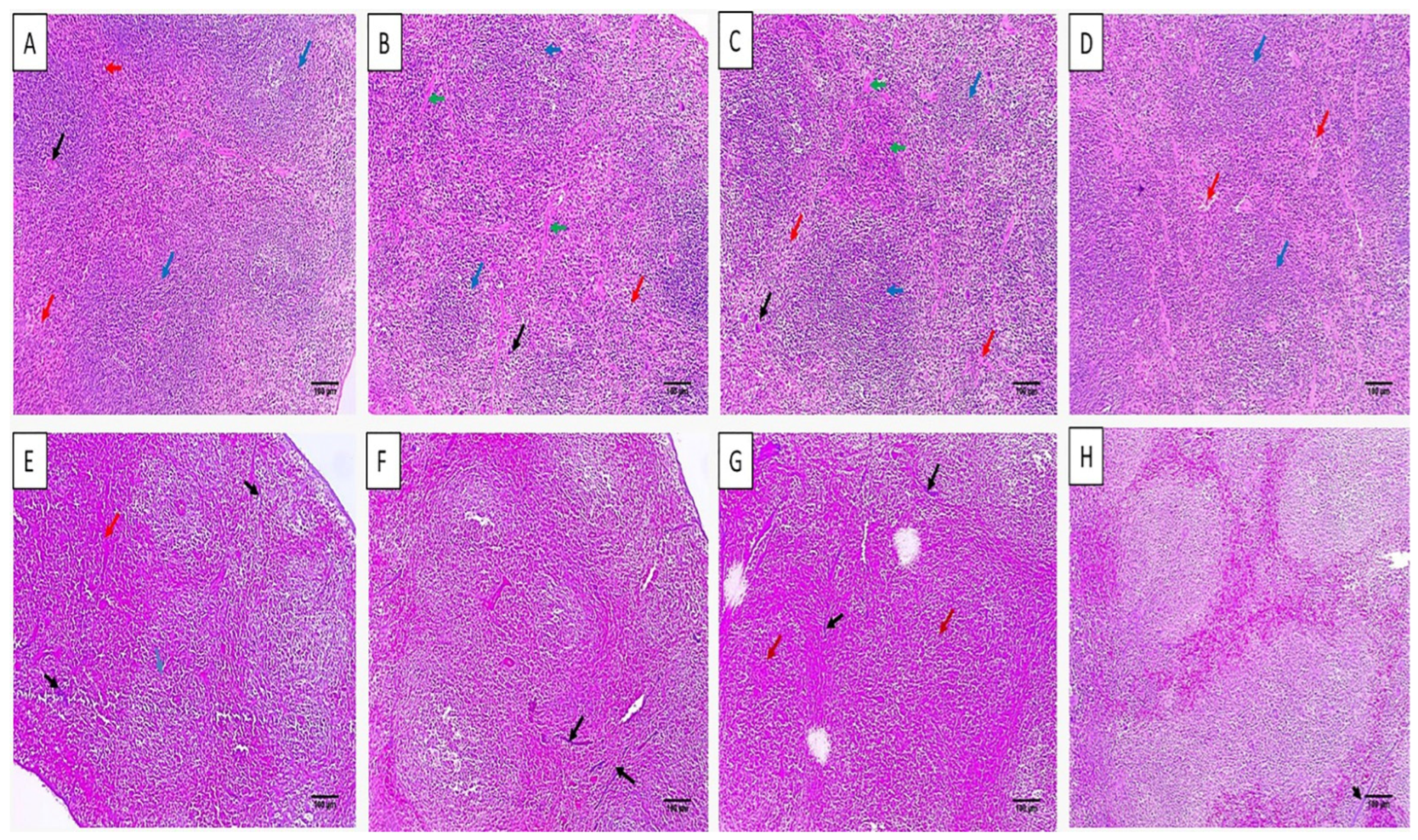 Microorganisms 11 02247 g008 Microorganisms 11 02247 g008