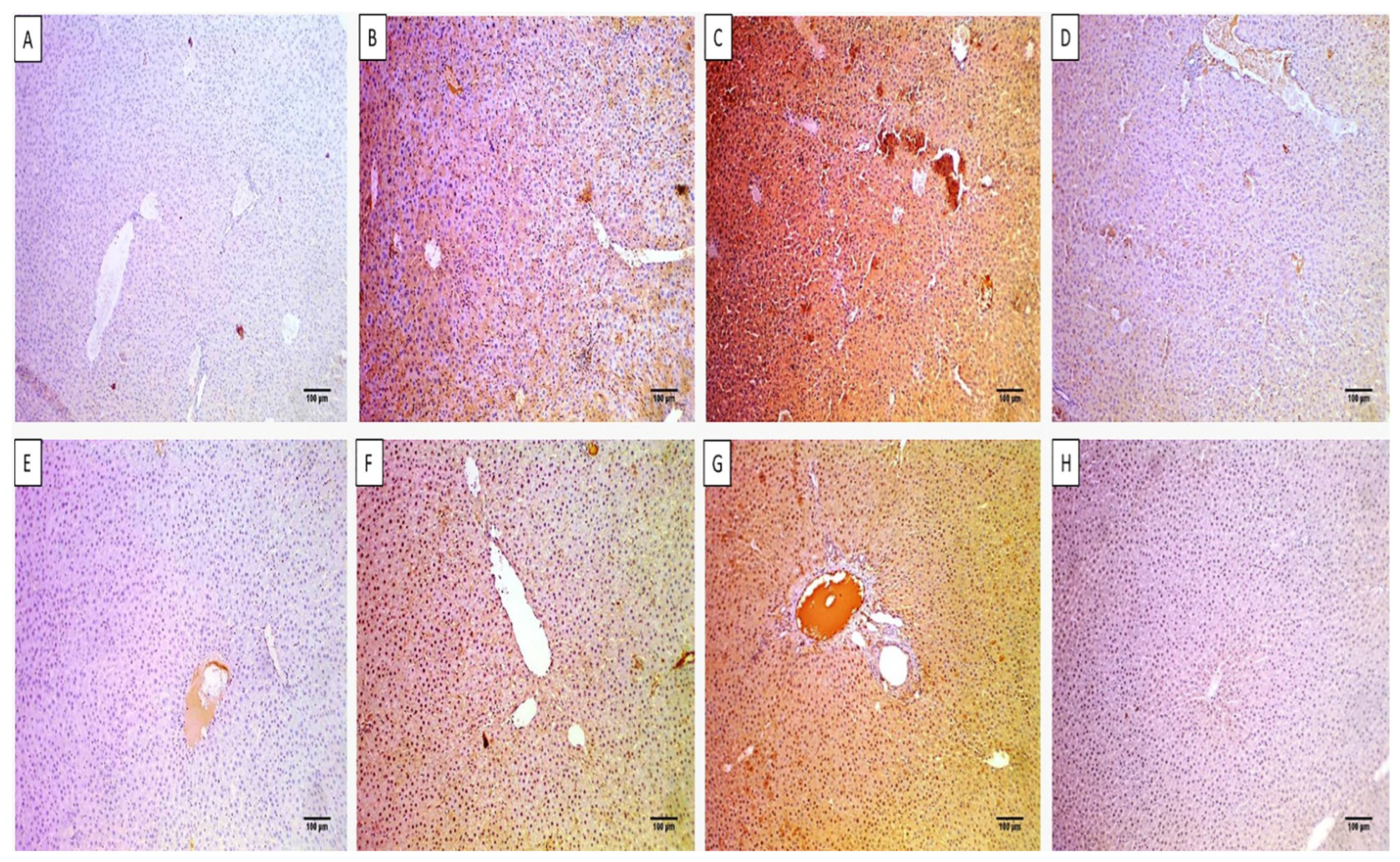 Microorganisms 11 02247 g009 Microorganisms 11 02247 g009