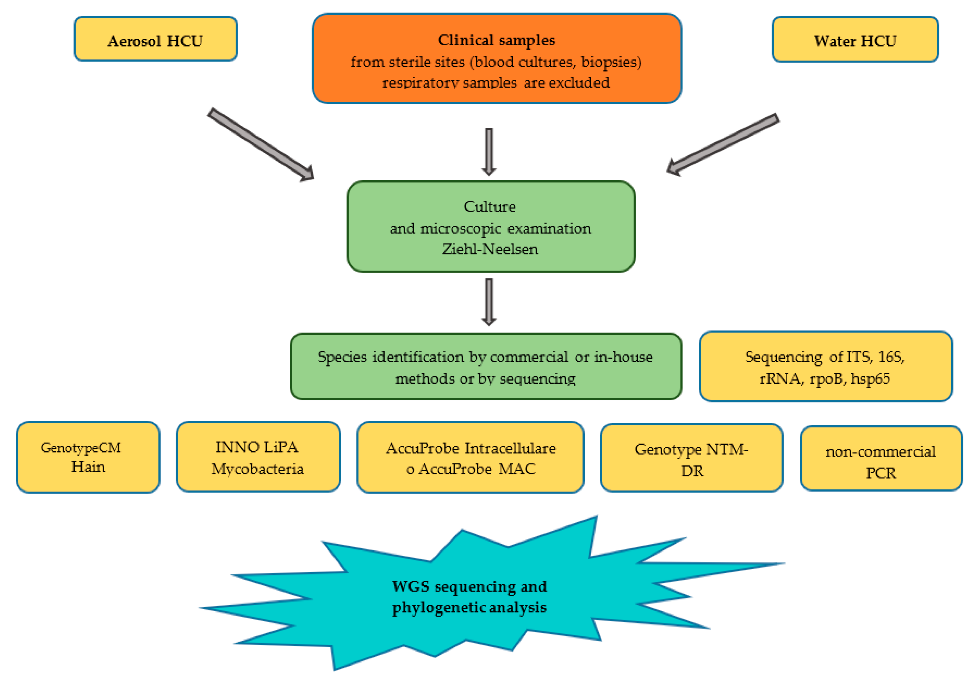 Microorganisms 11 02251 g002 Microorganisms 11 02251 g002