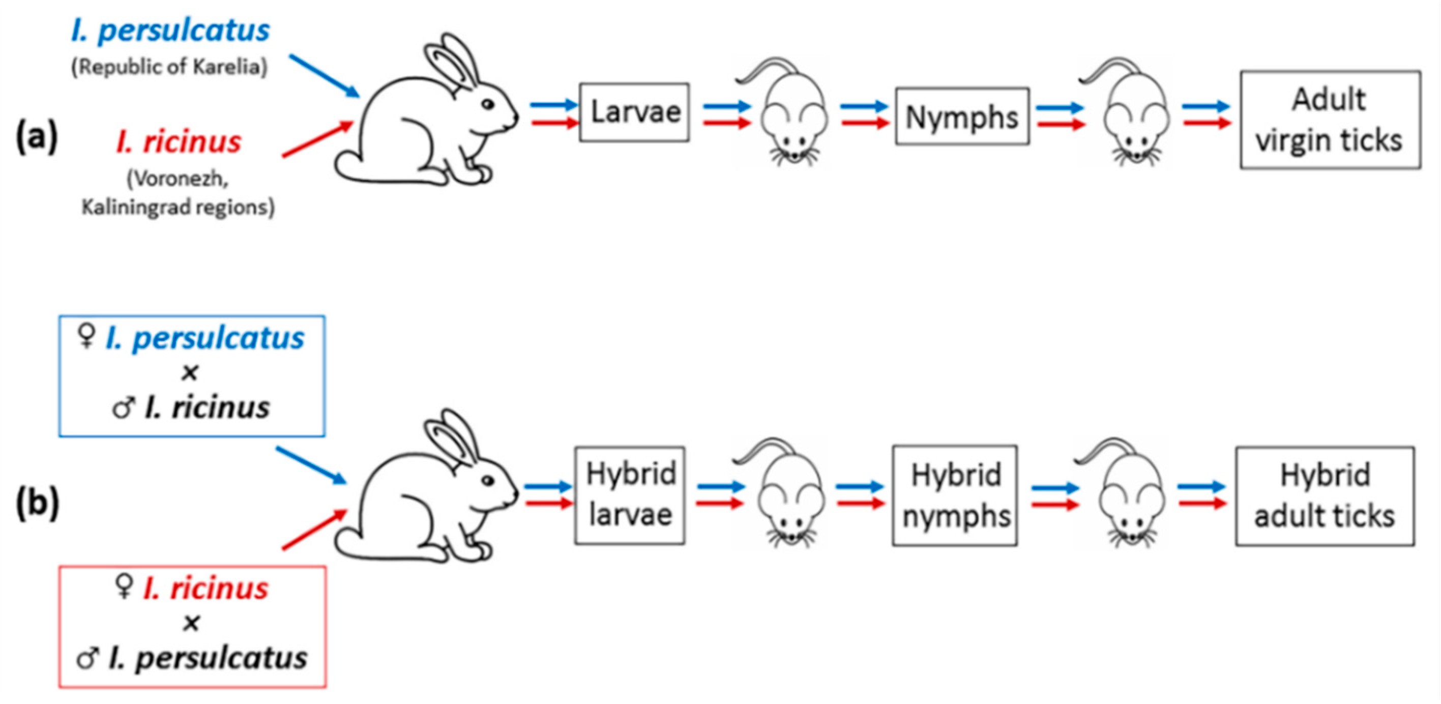 Microorganisms 11 02252 g001