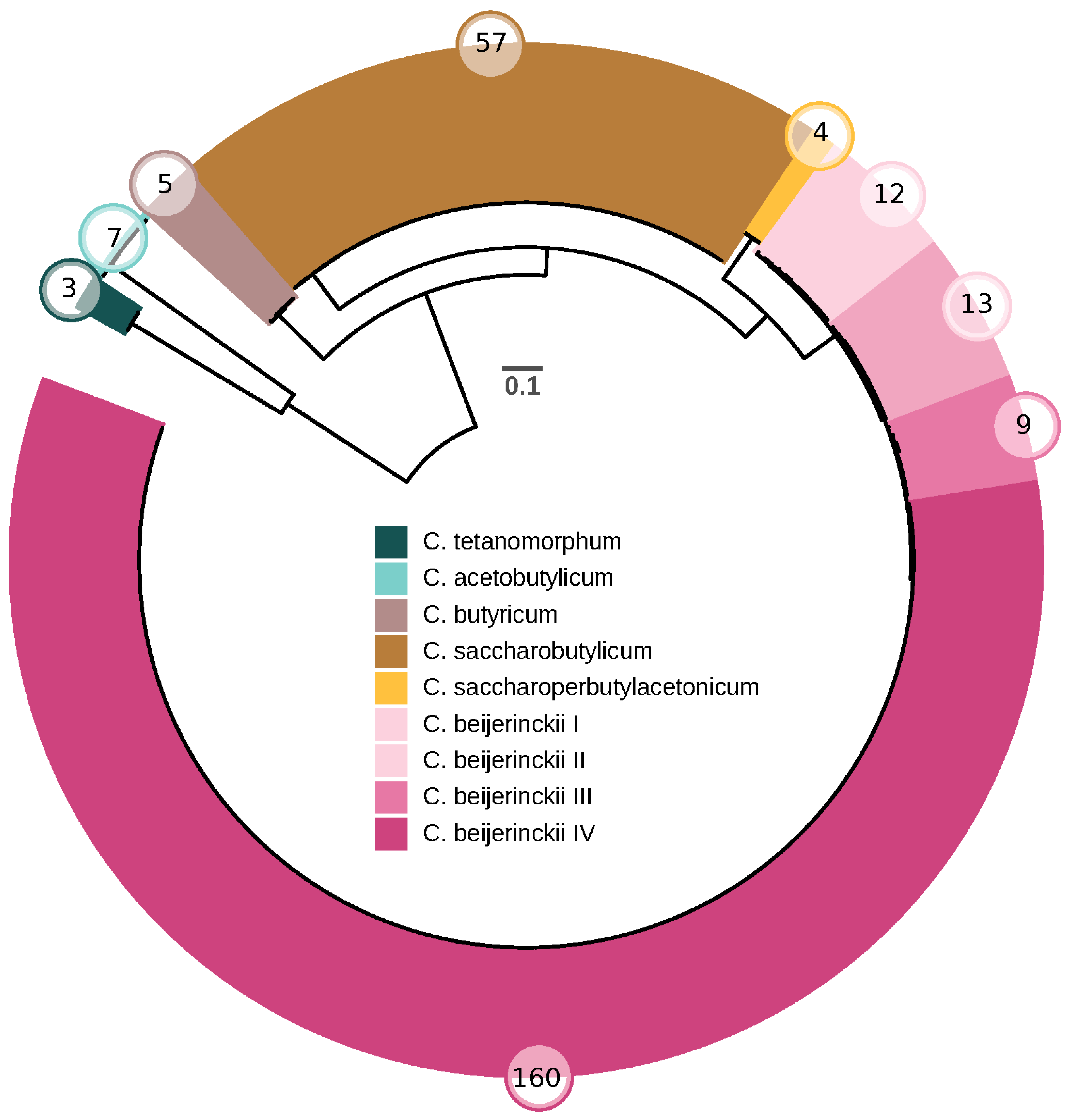 Microorganisms 11 02253 g003