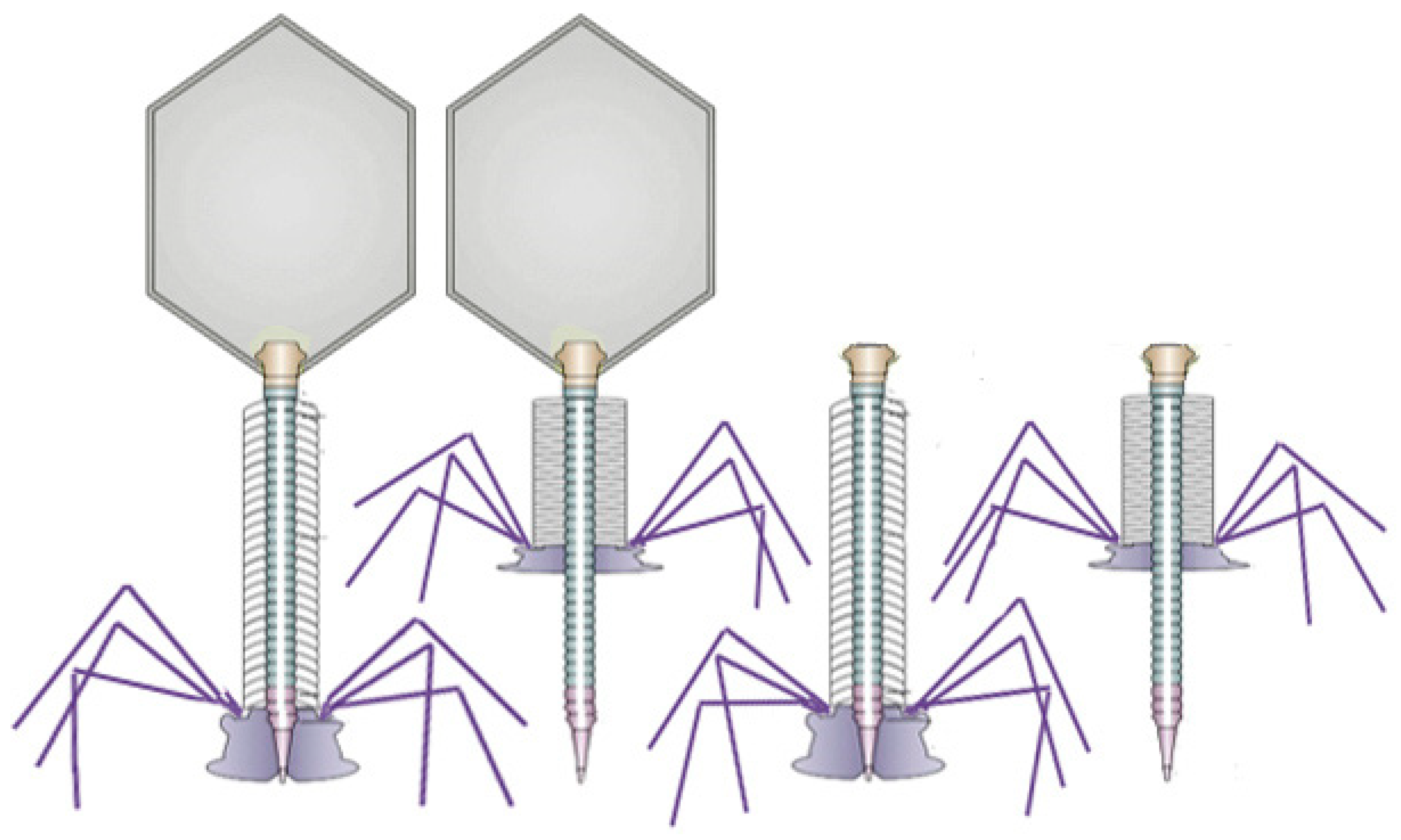 Microorganisms 11 02253 g007