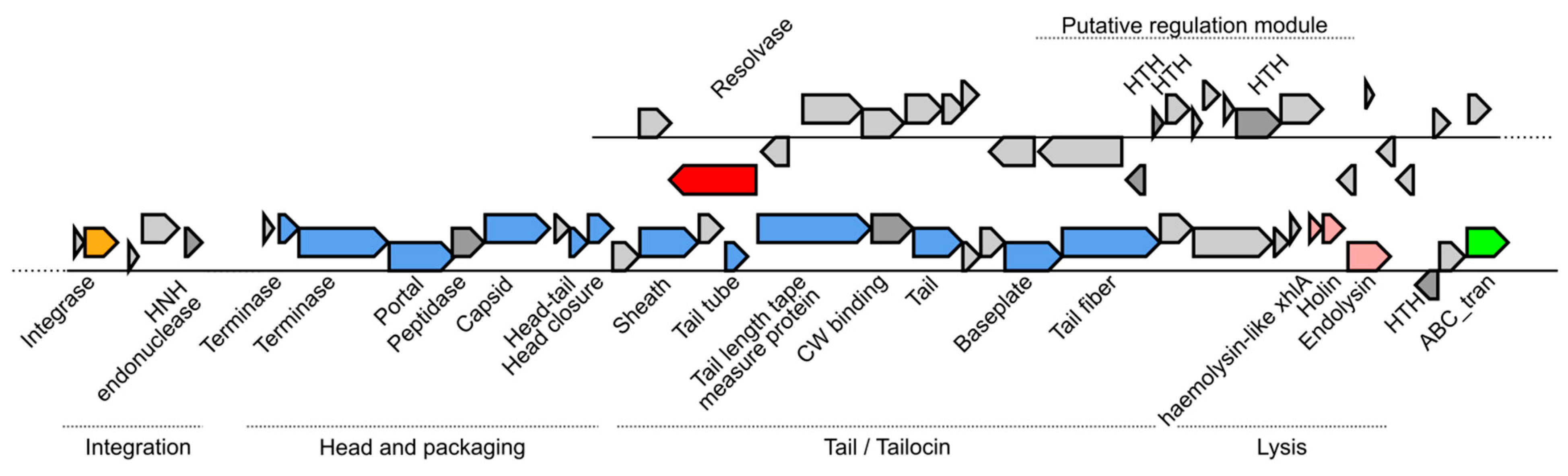 Microorganisms 11 02253 g009