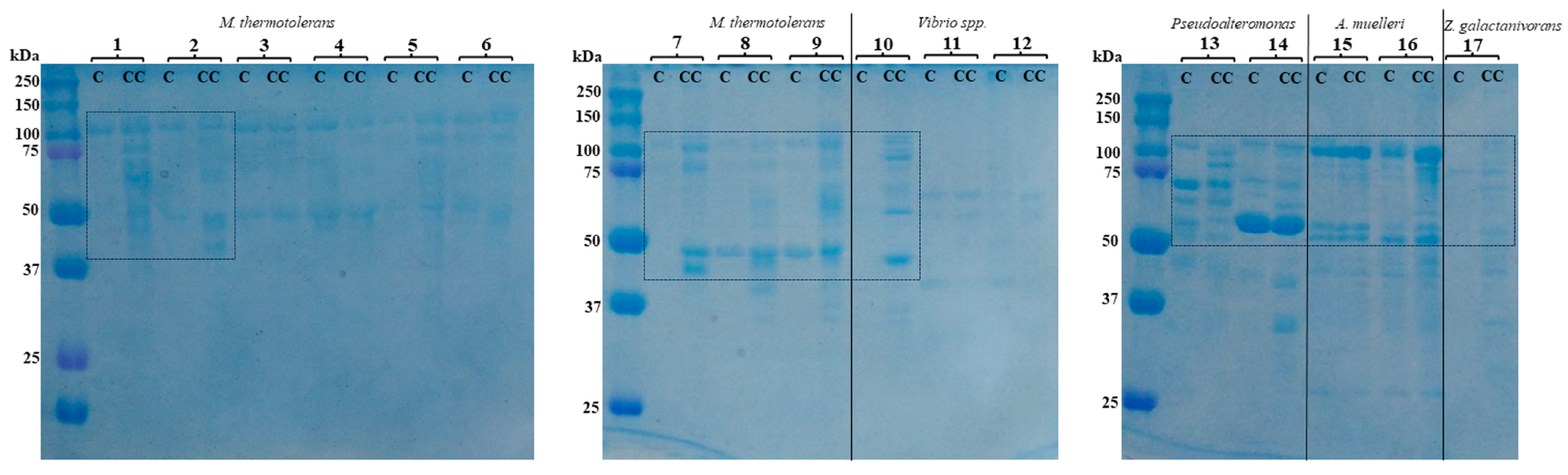 Microorganisms 11 02255 g003 Microorganisms 11 02255 g003