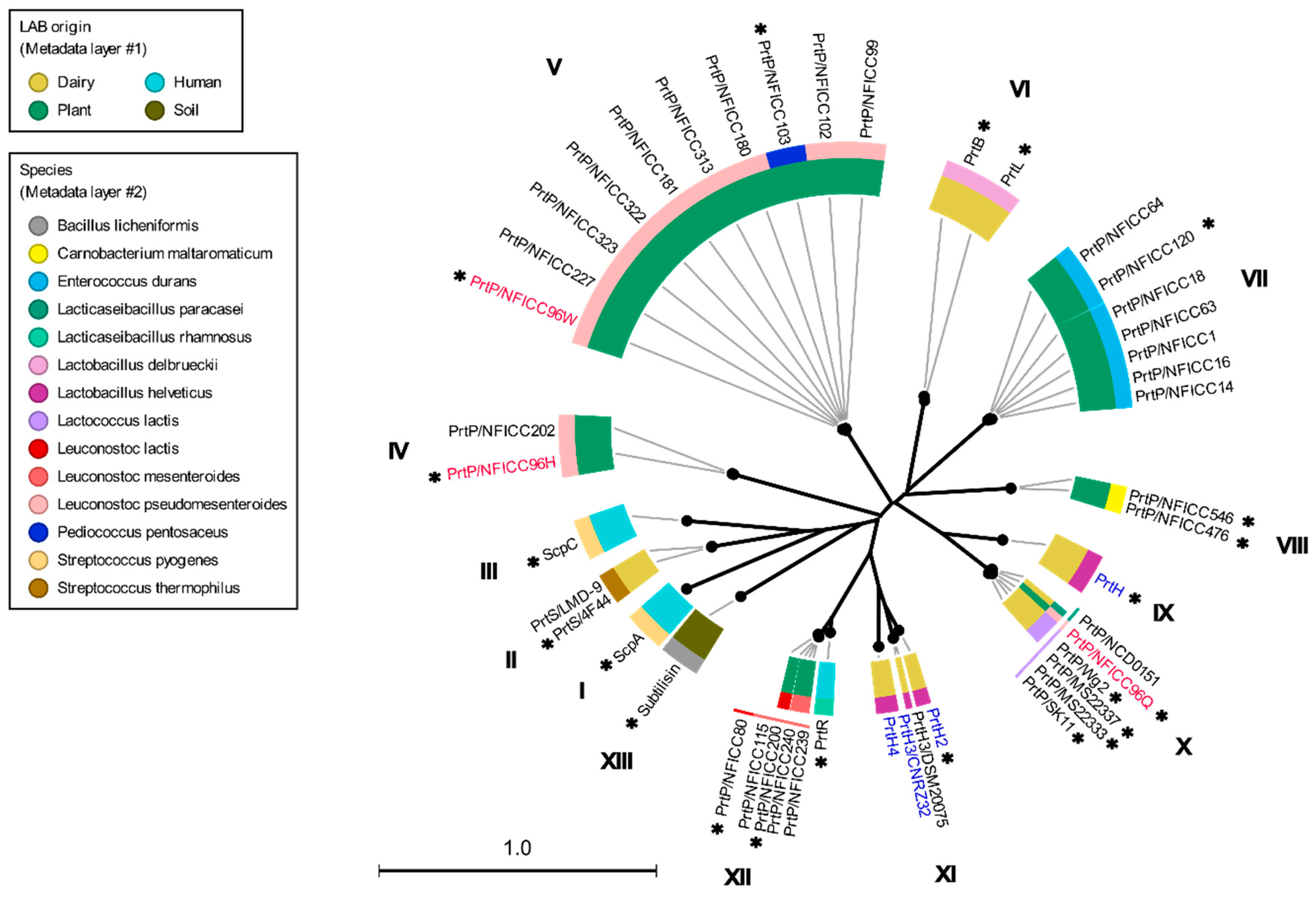 Microorganisms 11 02256 g001