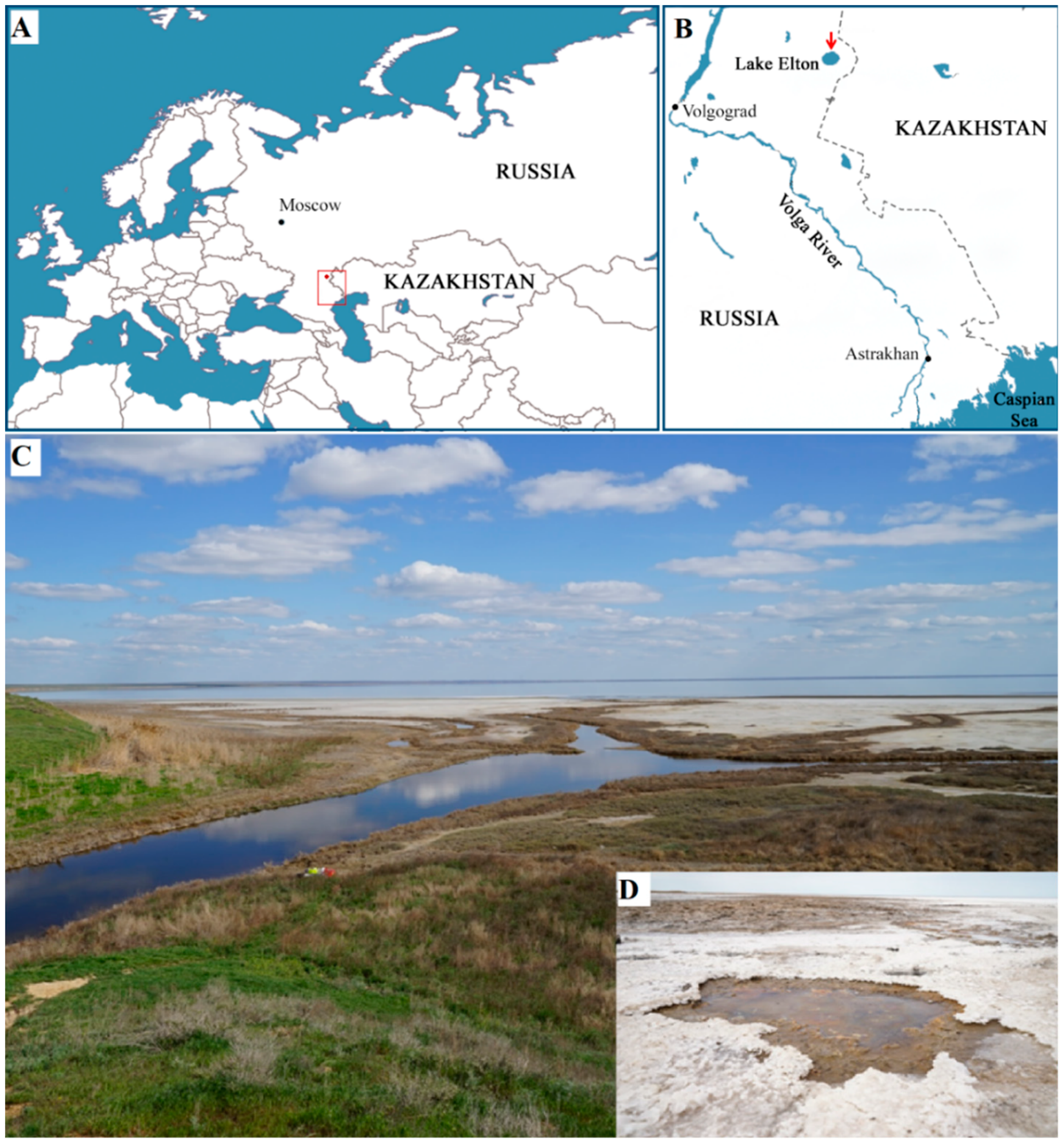 Microorganisms 11 02257 g001