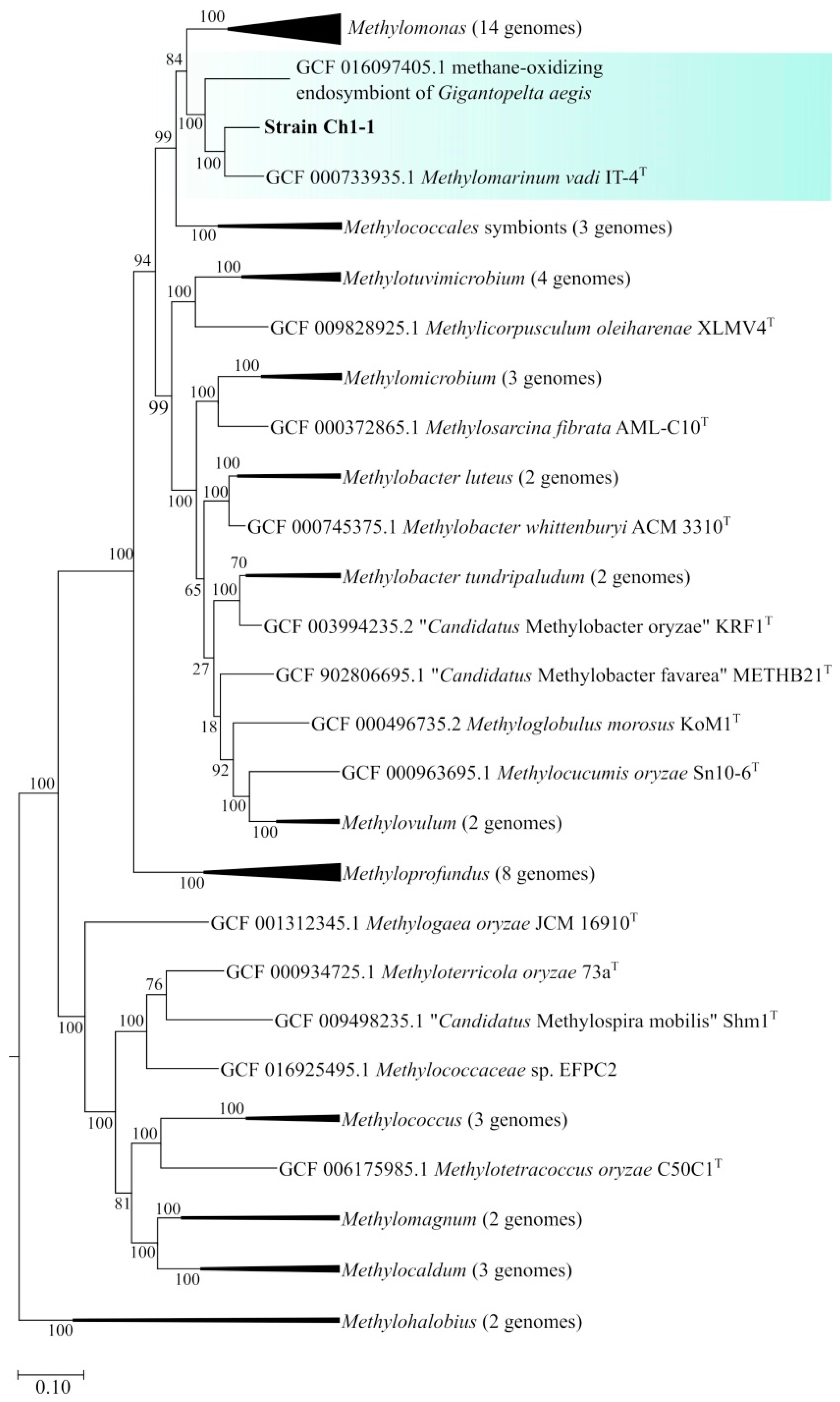 Microorganisms 11 02257 g005