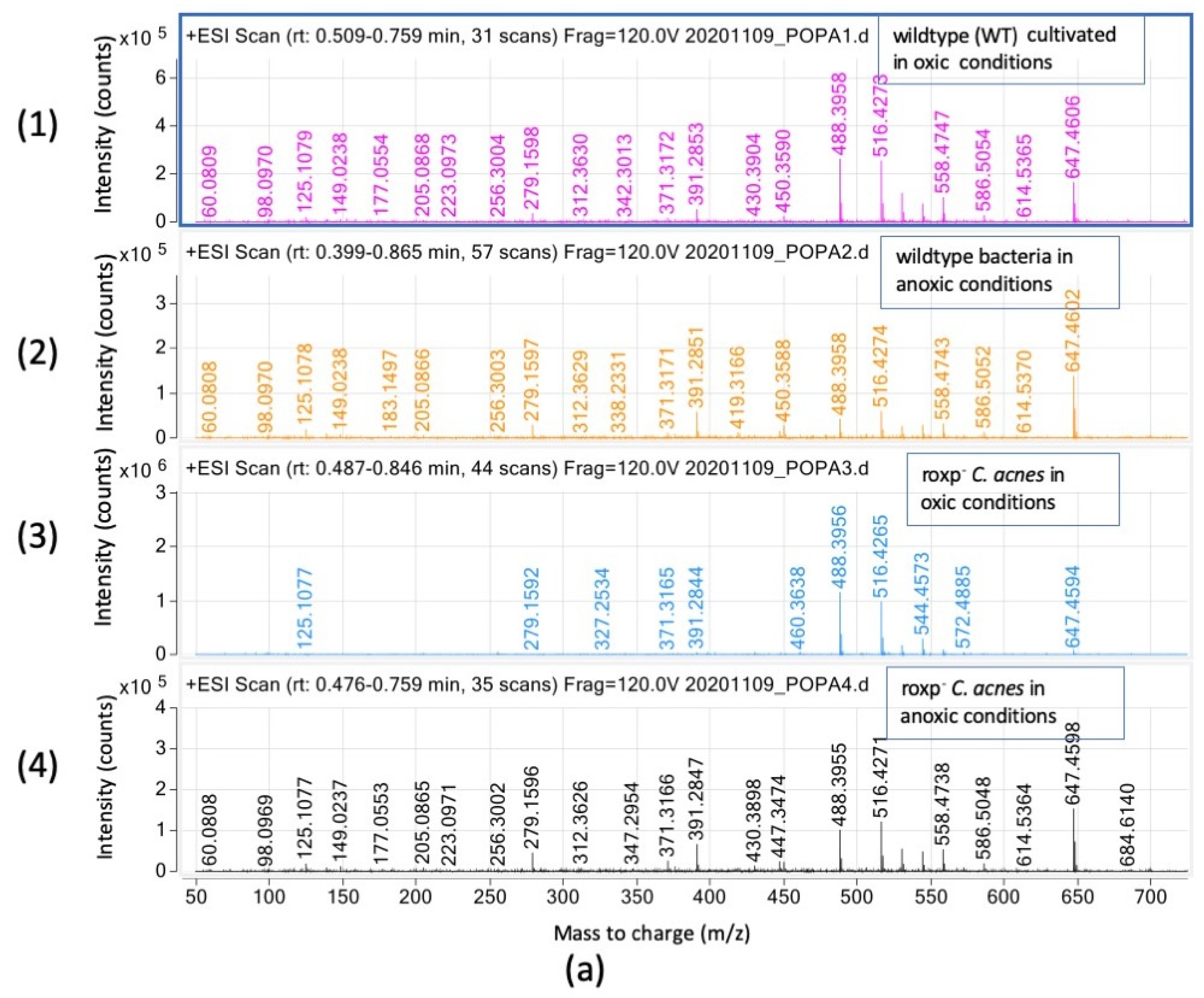 Microorganisms 11 02260 g004a