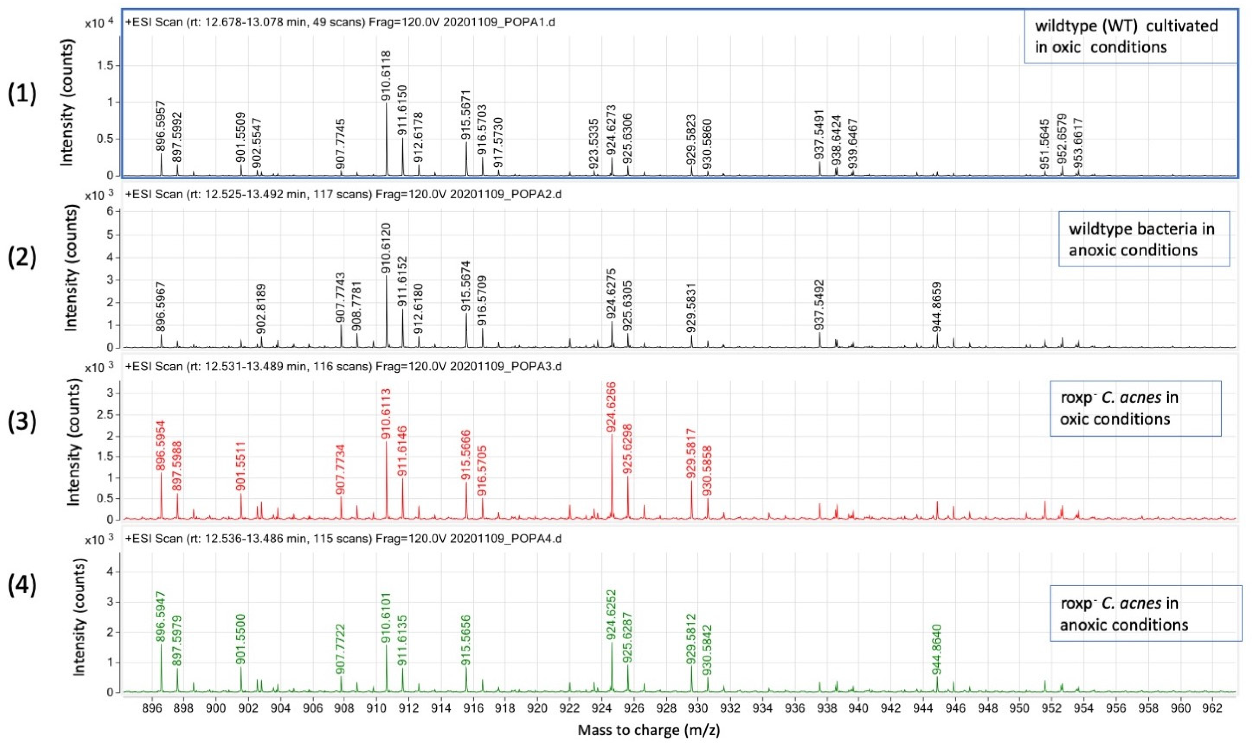Microorganisms 11 02260 g005