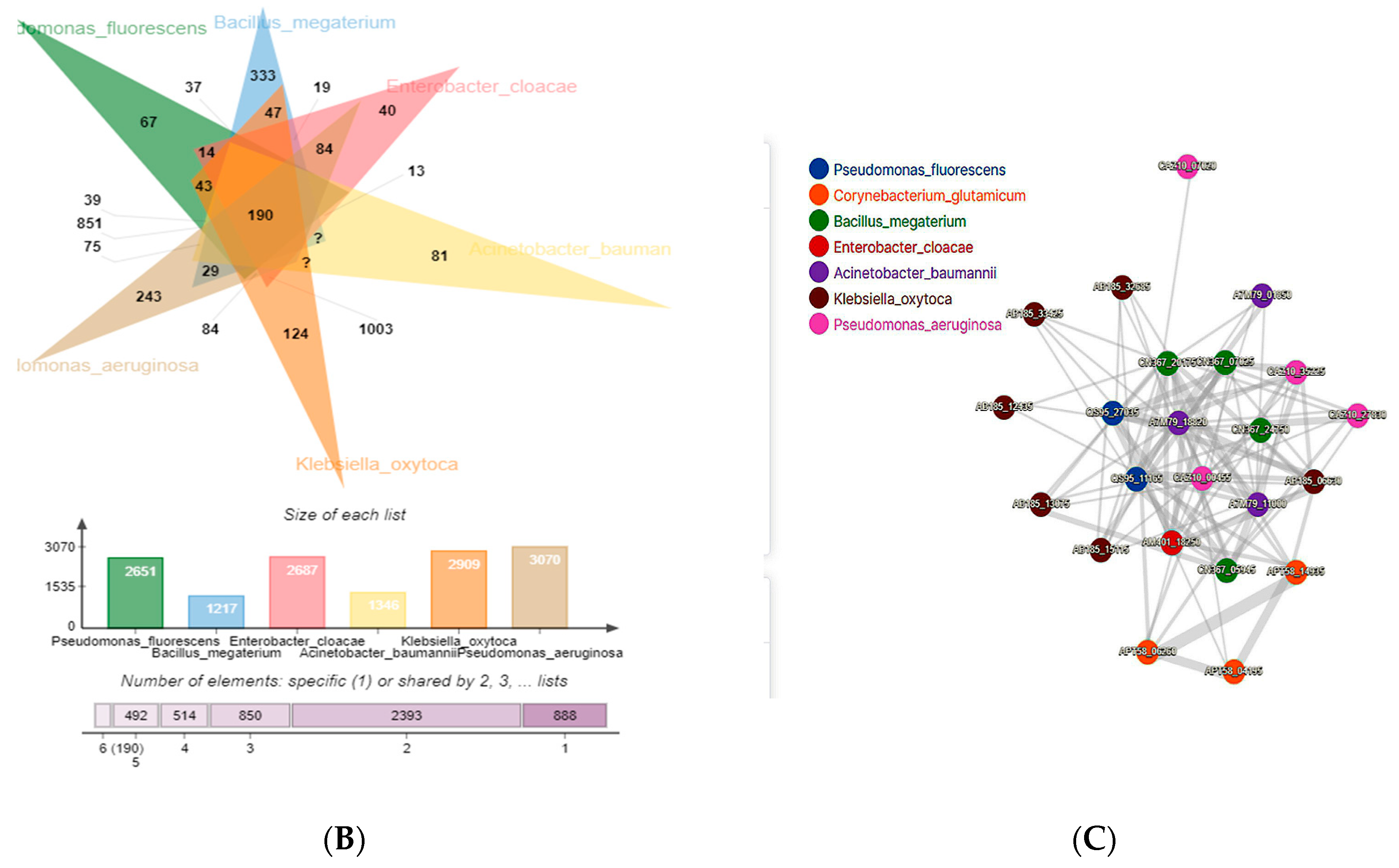 Microorganisms 11 02262 g003b