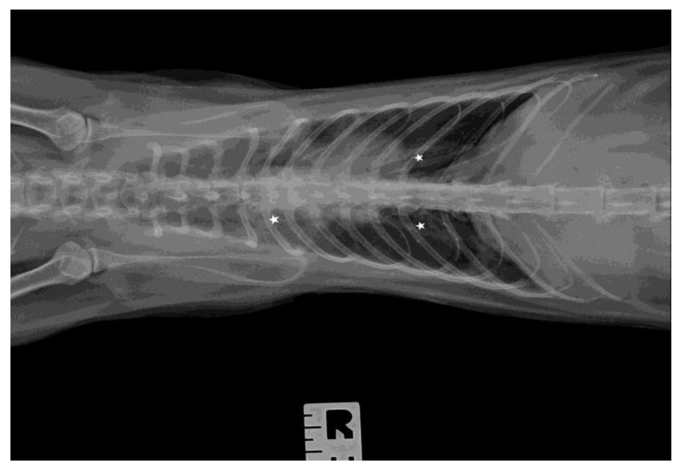 Microorganisms 11 02263 g002