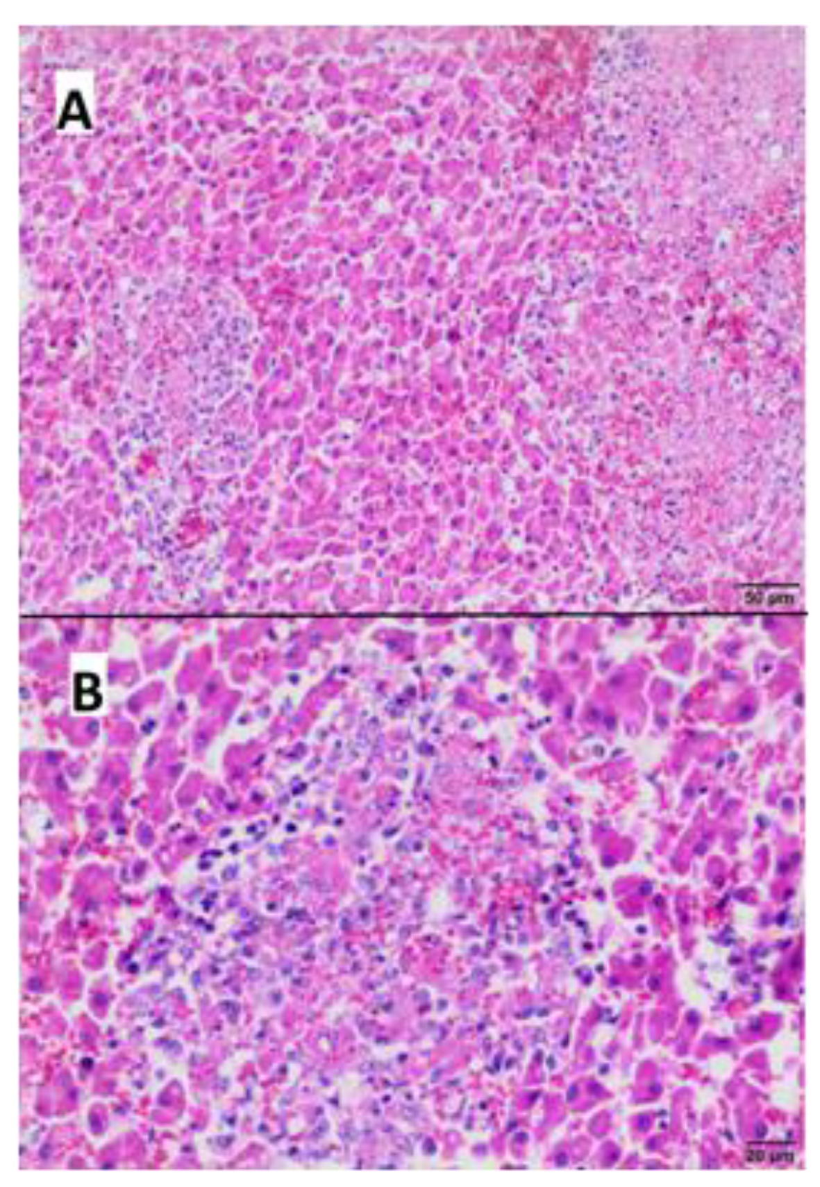 Microorganisms 11 02263 g004