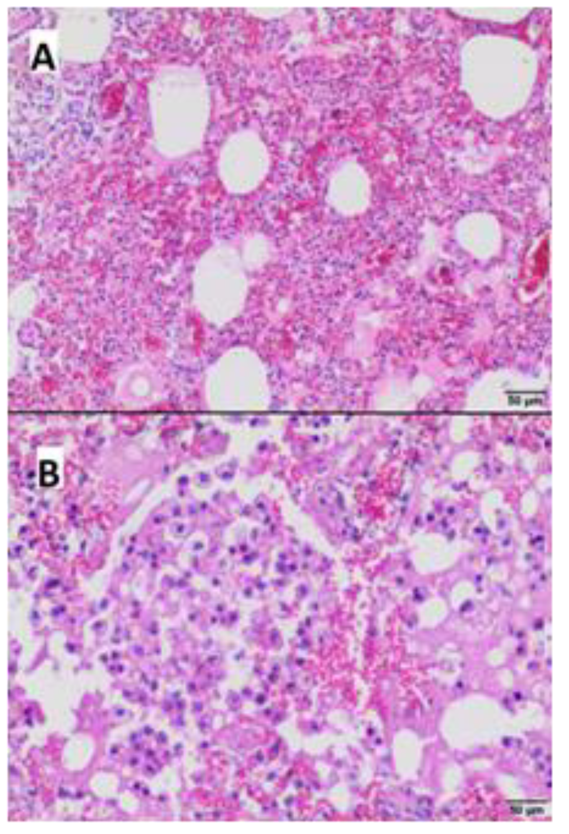 Microorganisms 11 02263 g005