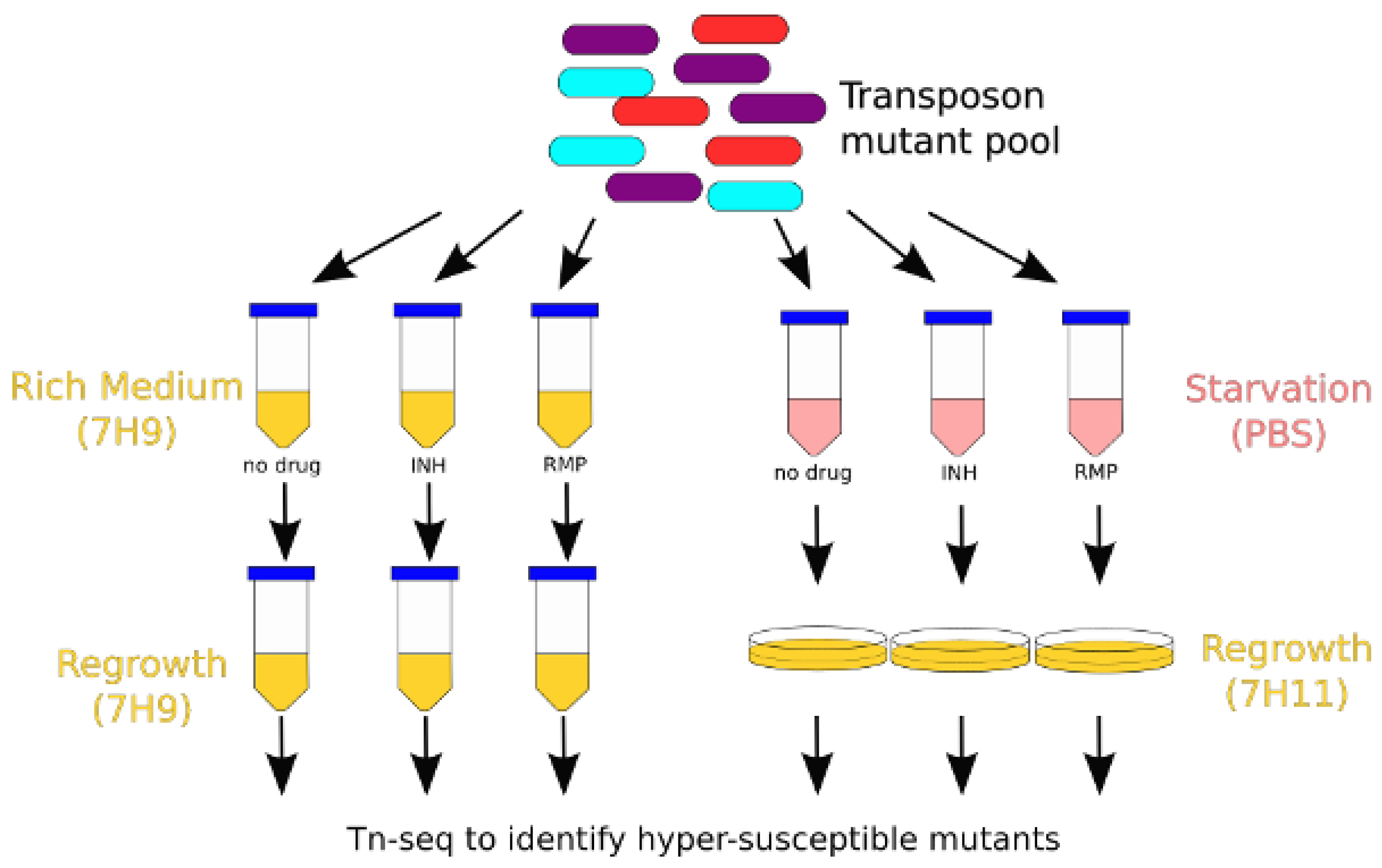 Microorganisms 11 02269 g001 Microorganisms 11 02269 g001