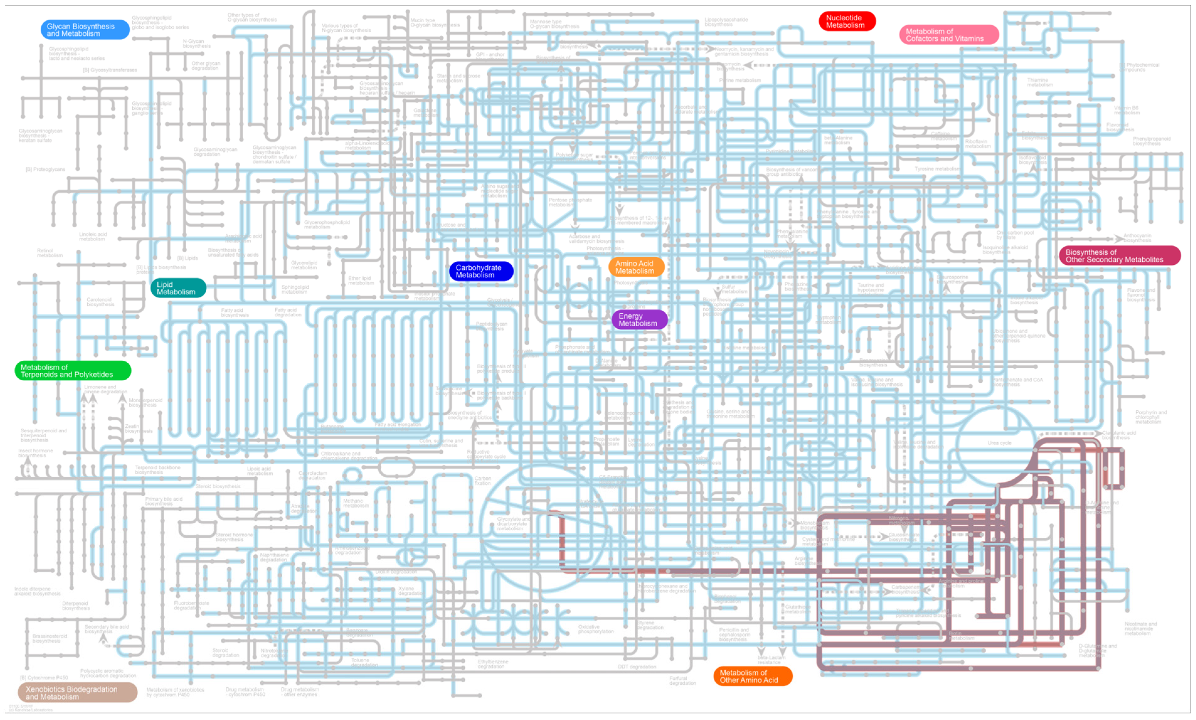 Microorganisms 11 02272 g007 Microorganisms 11 02272 g007