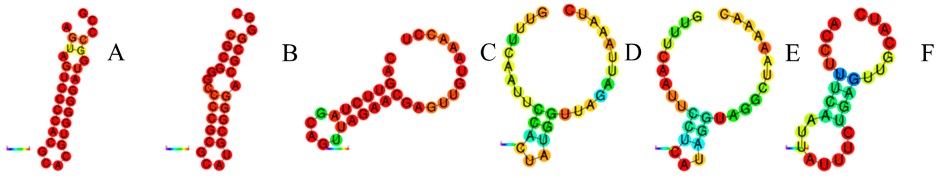 Microorganisms 11 02275 g003