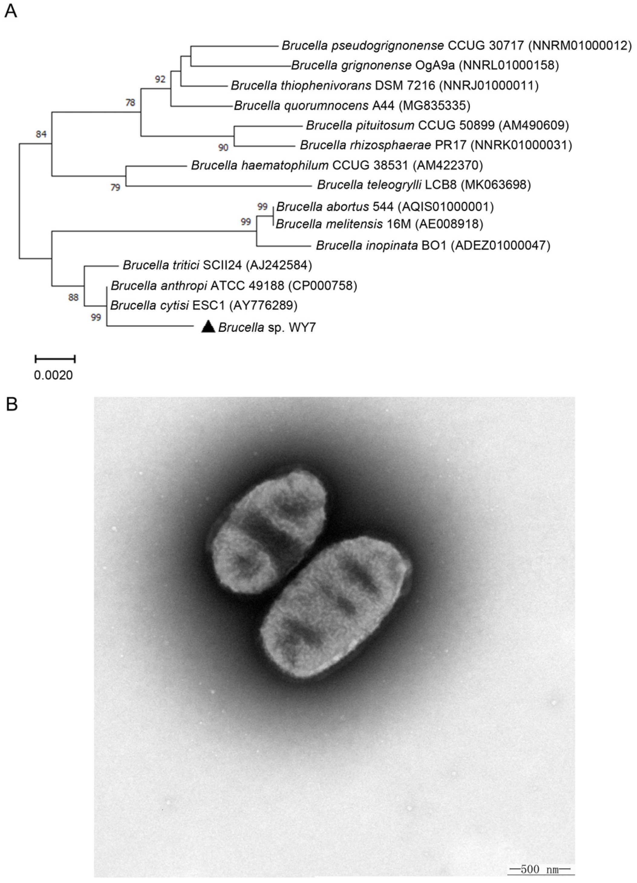 Microorganisms 11 02281 g001