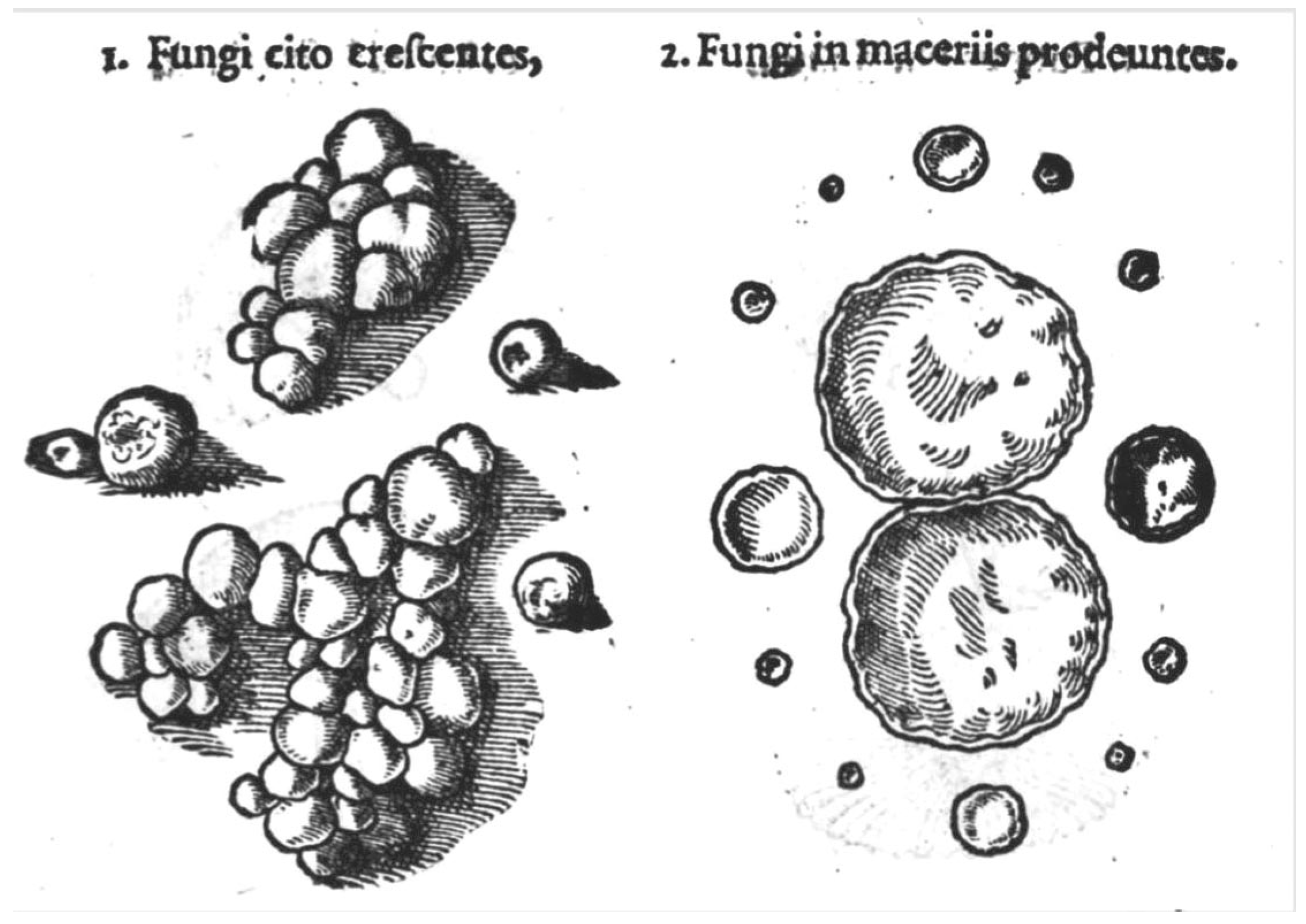 Microorganisms 11 02283 g002