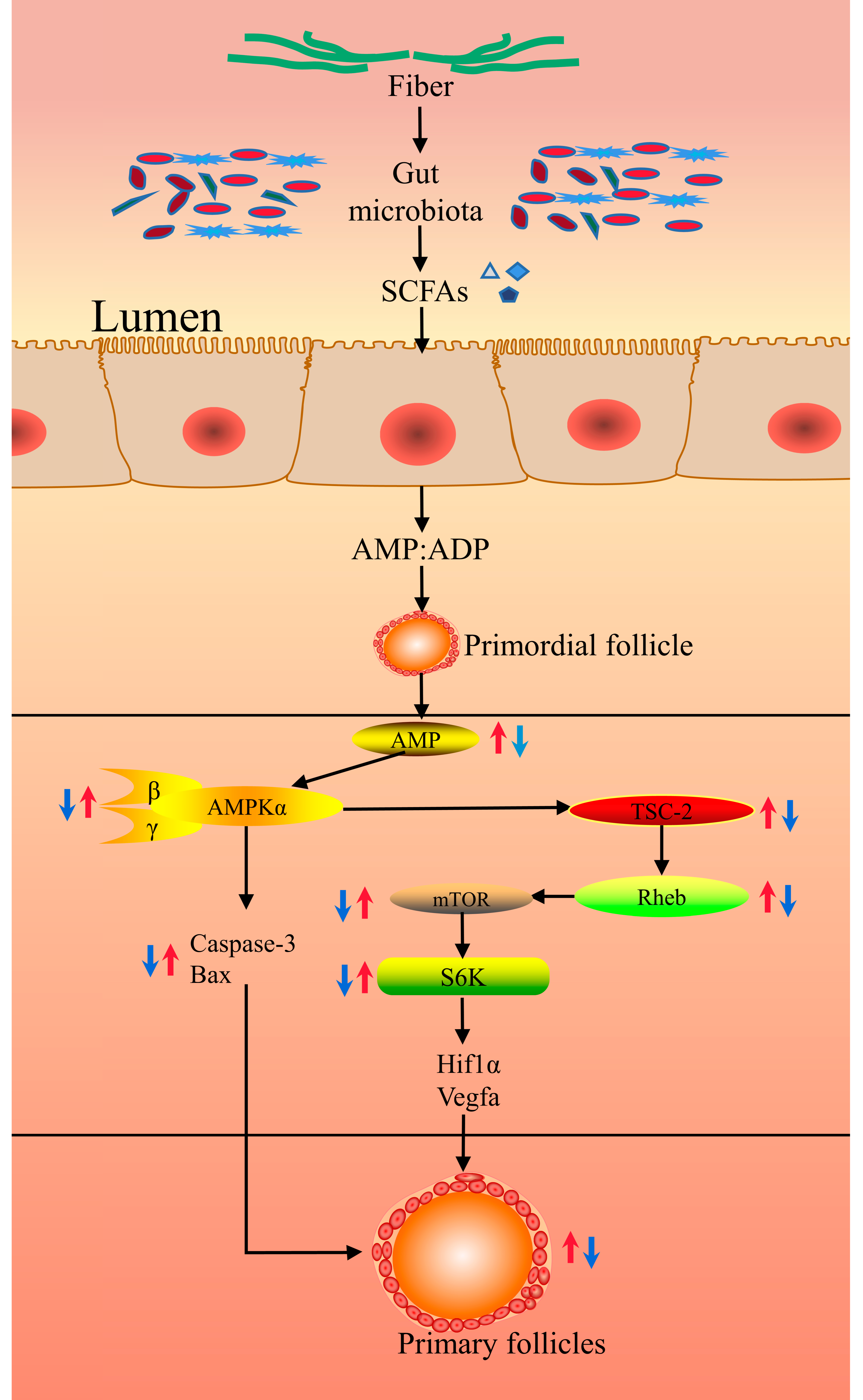 Microorganisms 11 02292 g001
