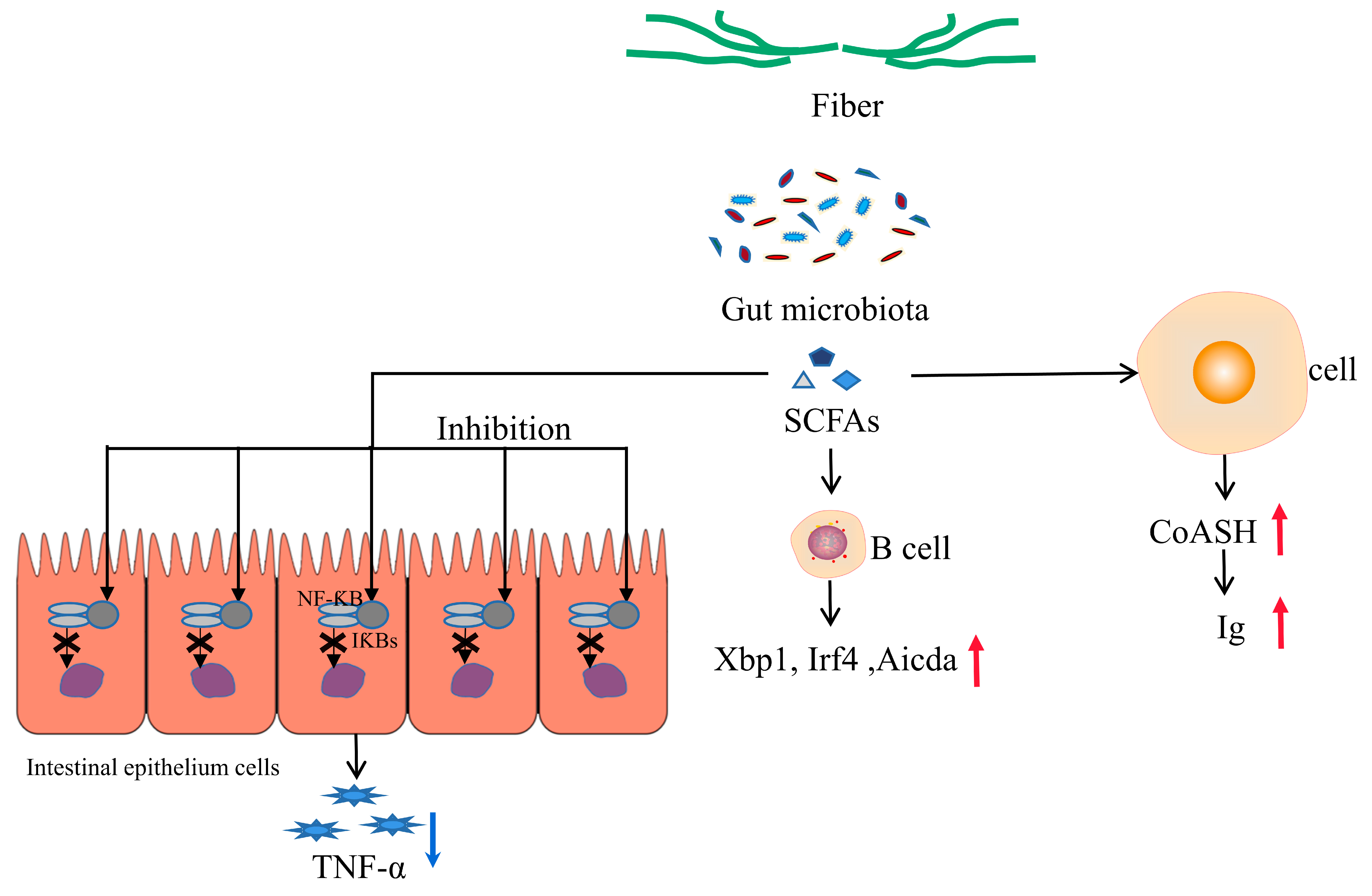 Microorganisms 11 02292 g002