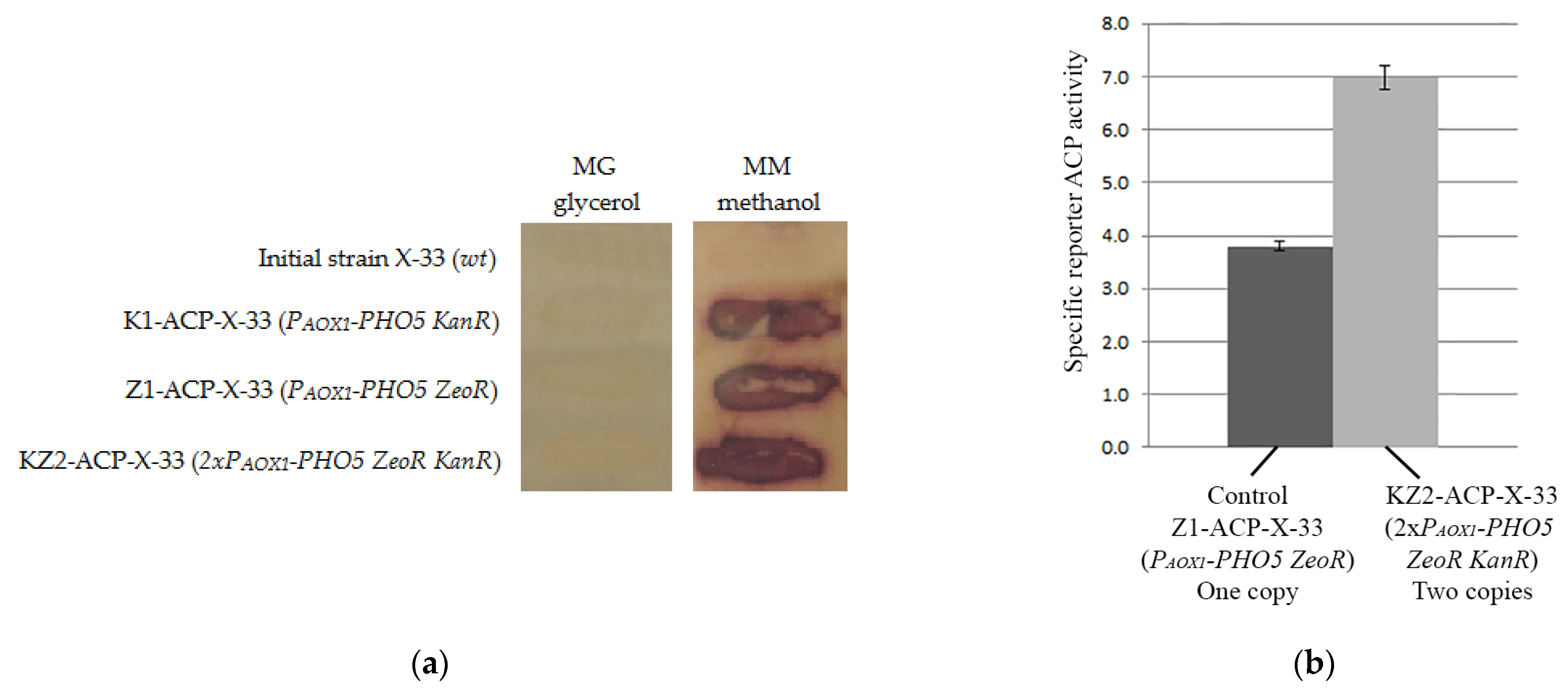 Microorganisms 11 02297 g003