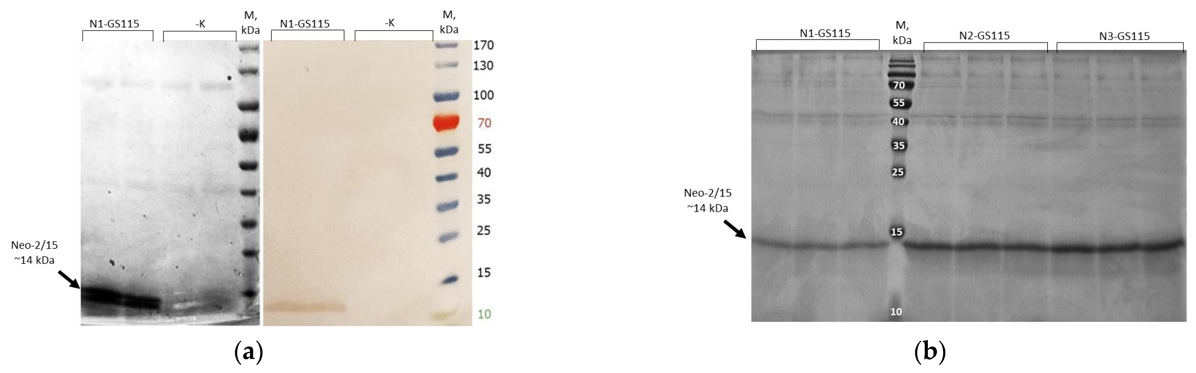 Microorganisms 11 02297 g004