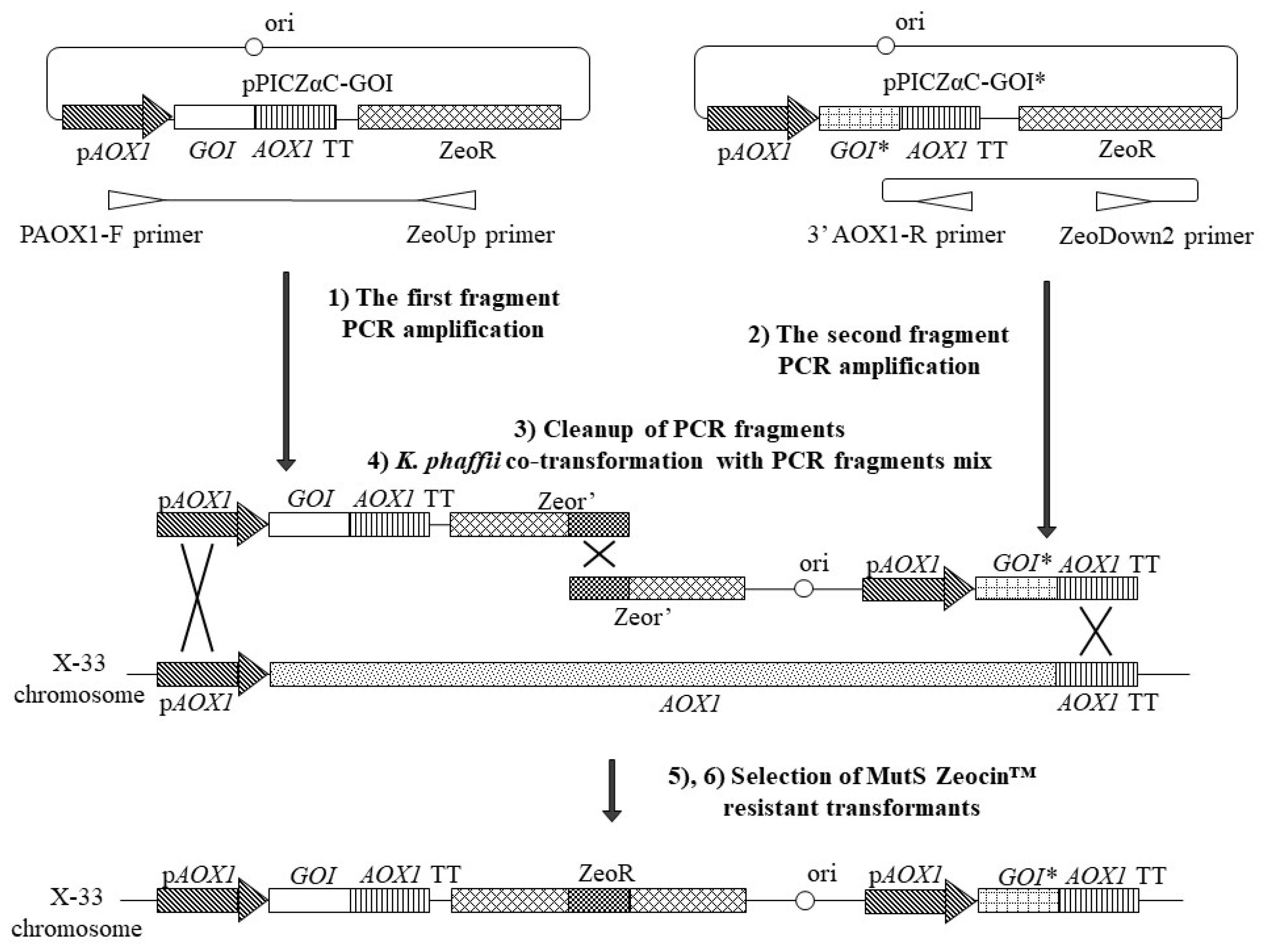 Microorganisms 11 02297 g005