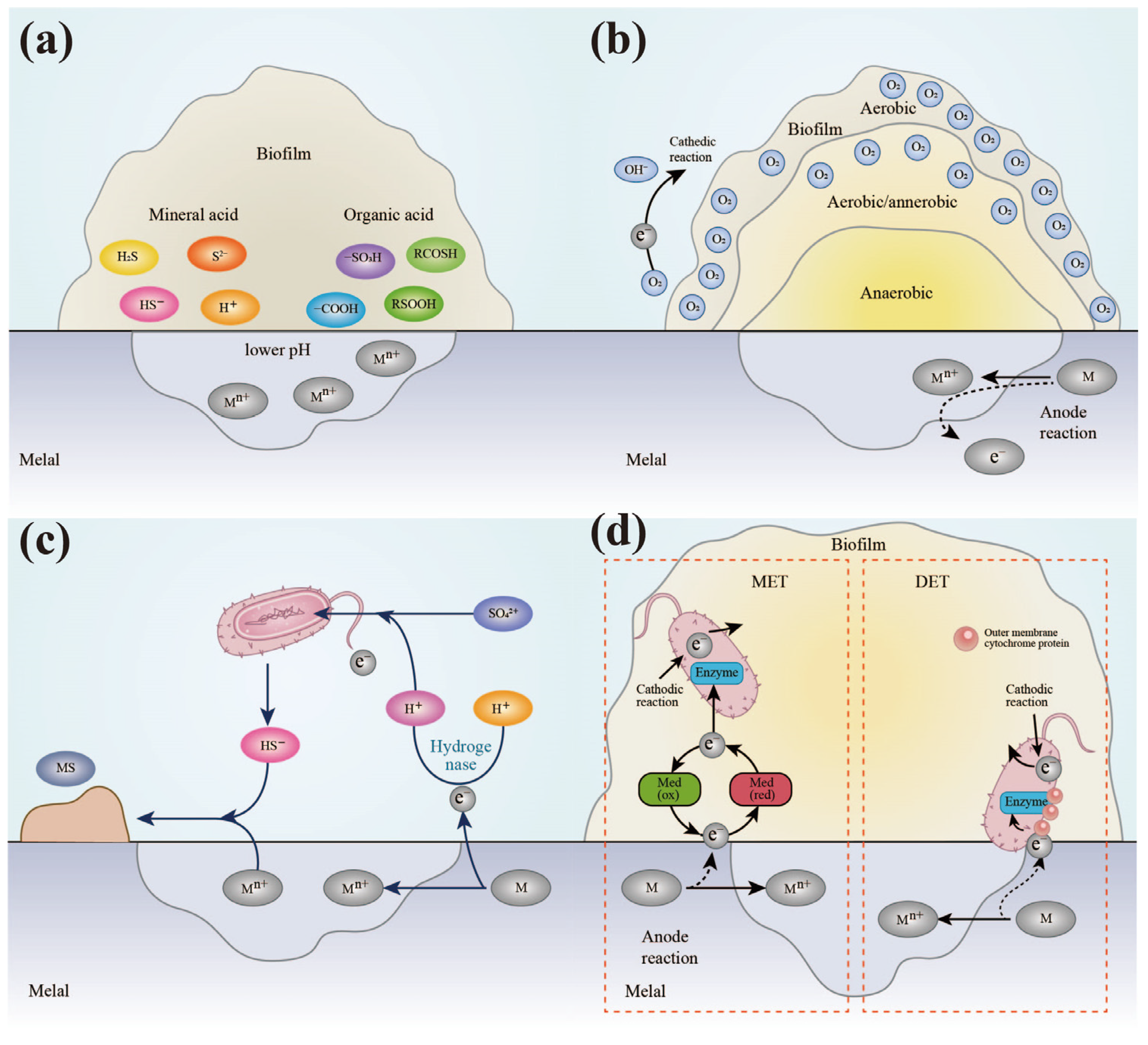 Microorganisms 11 02299 g004