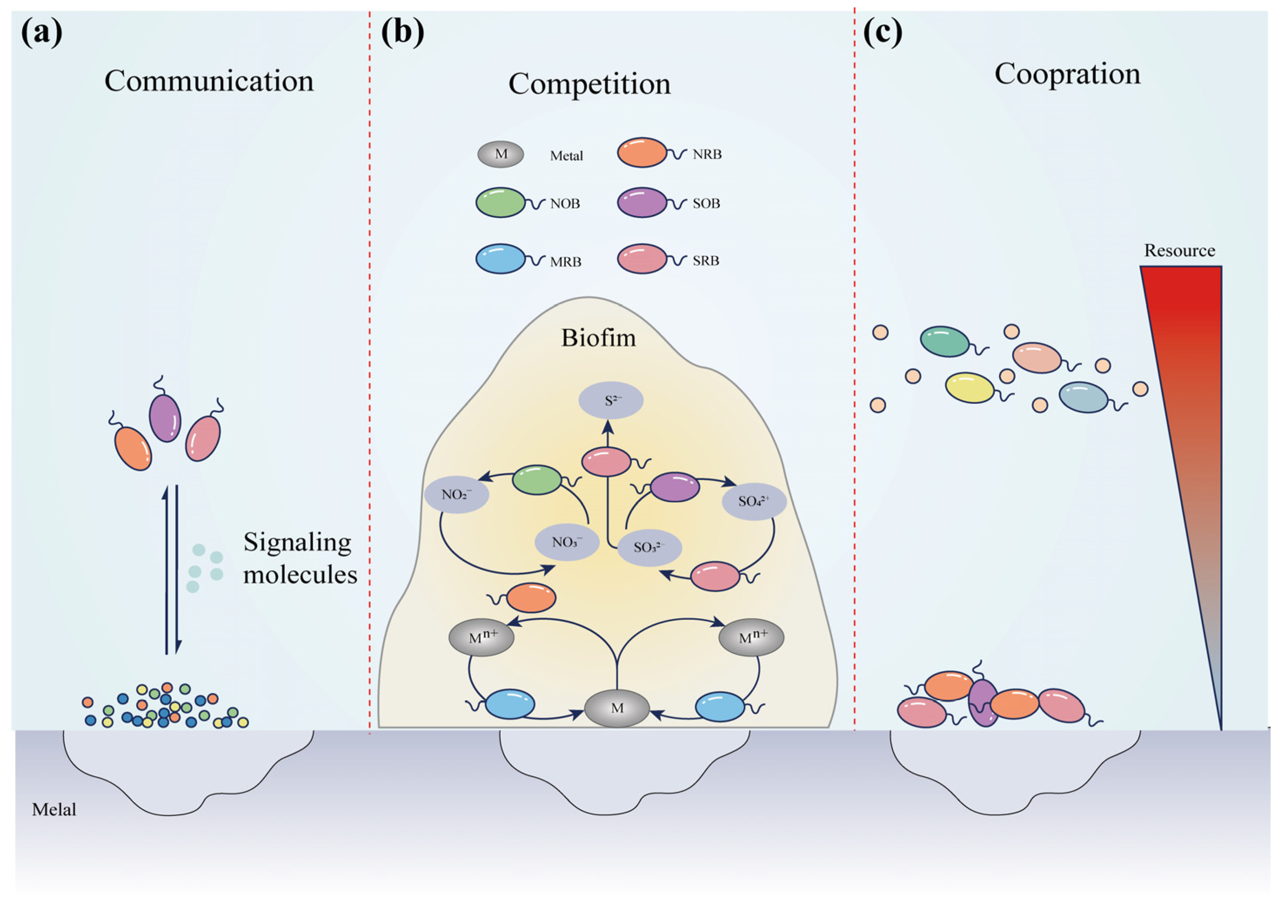 Microorganisms 11 02299 g005