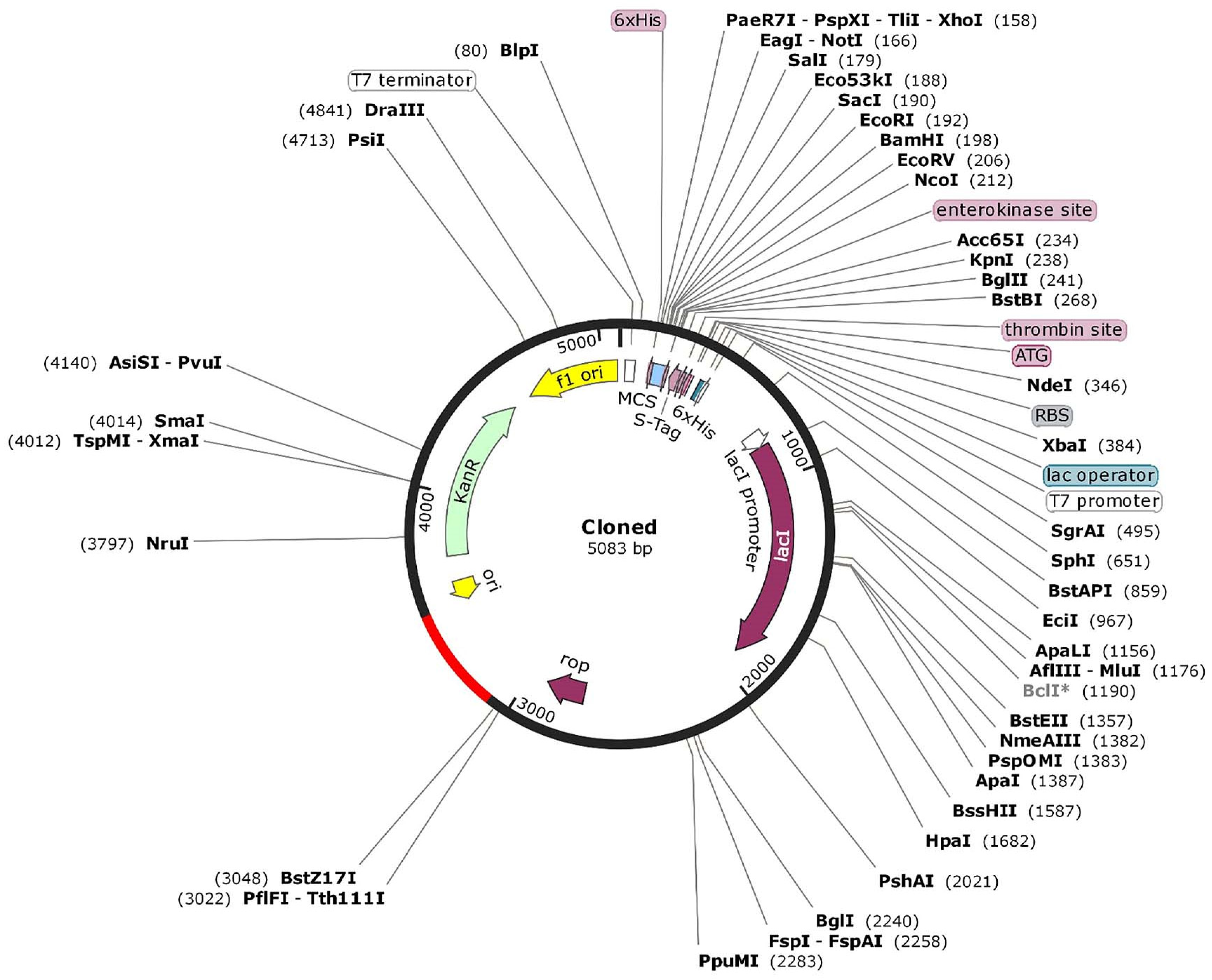 Microorganisms 11 02300 g003