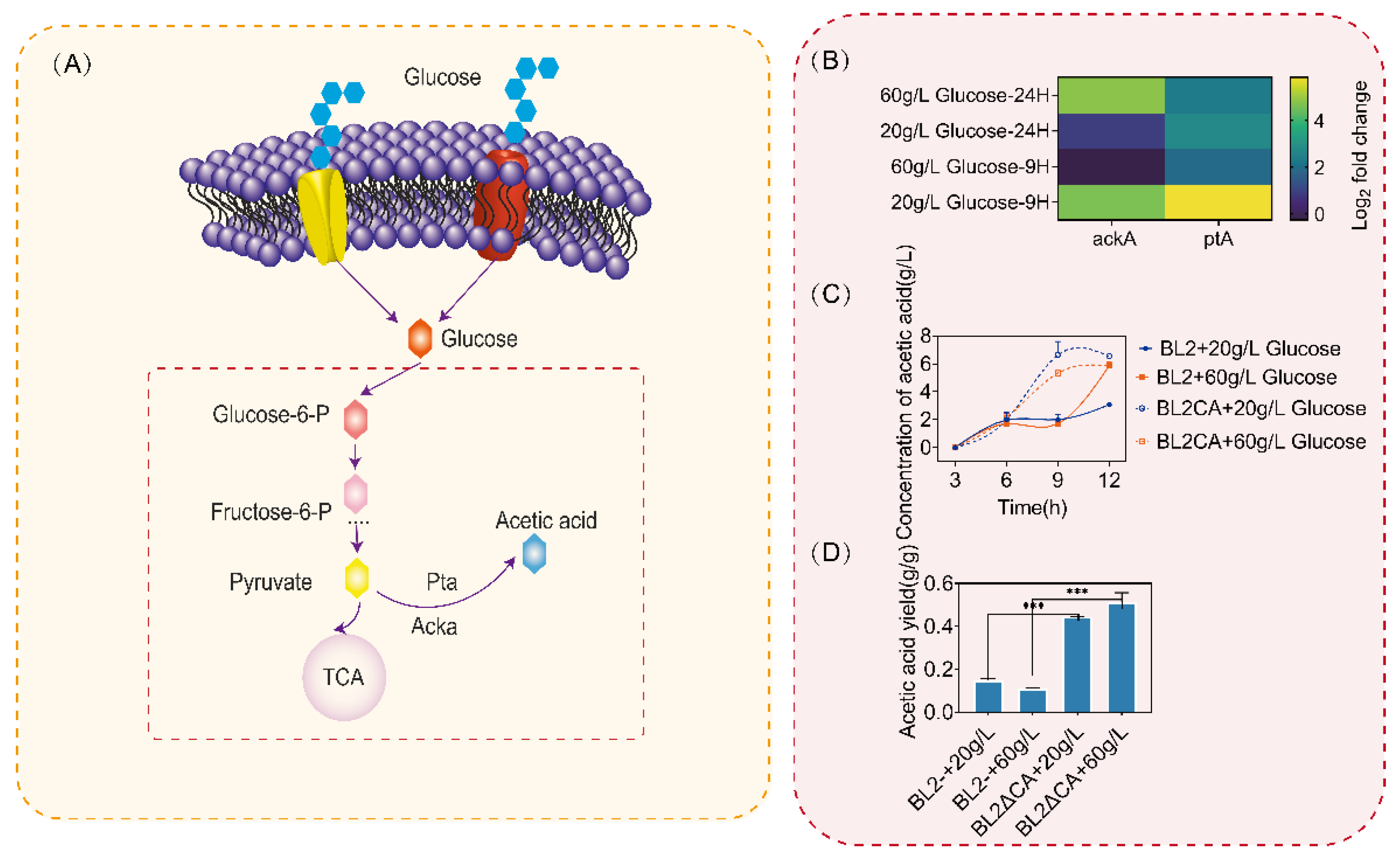 Microorganisms 11 02303 g005