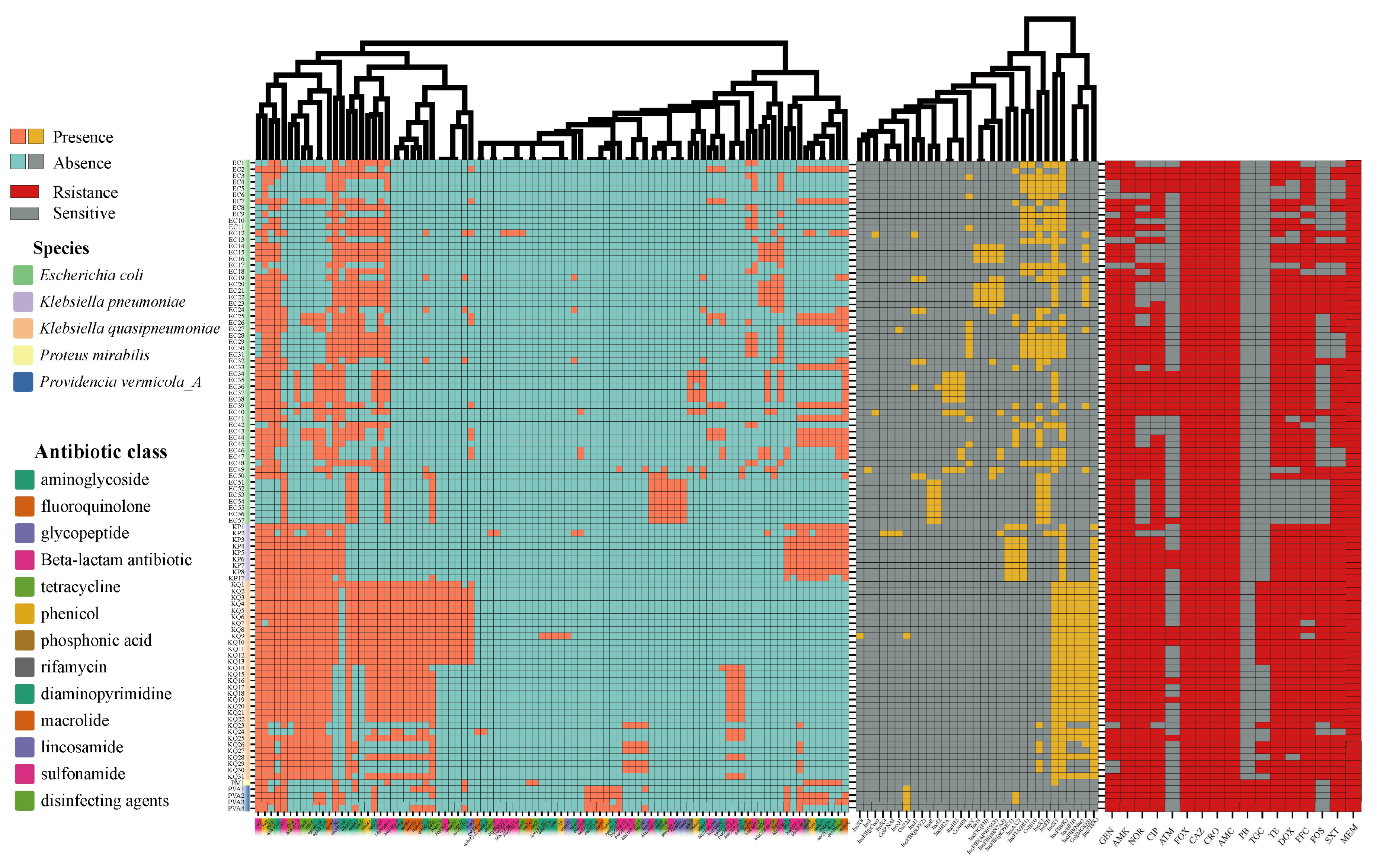 Microorganisms 11 02304 g001