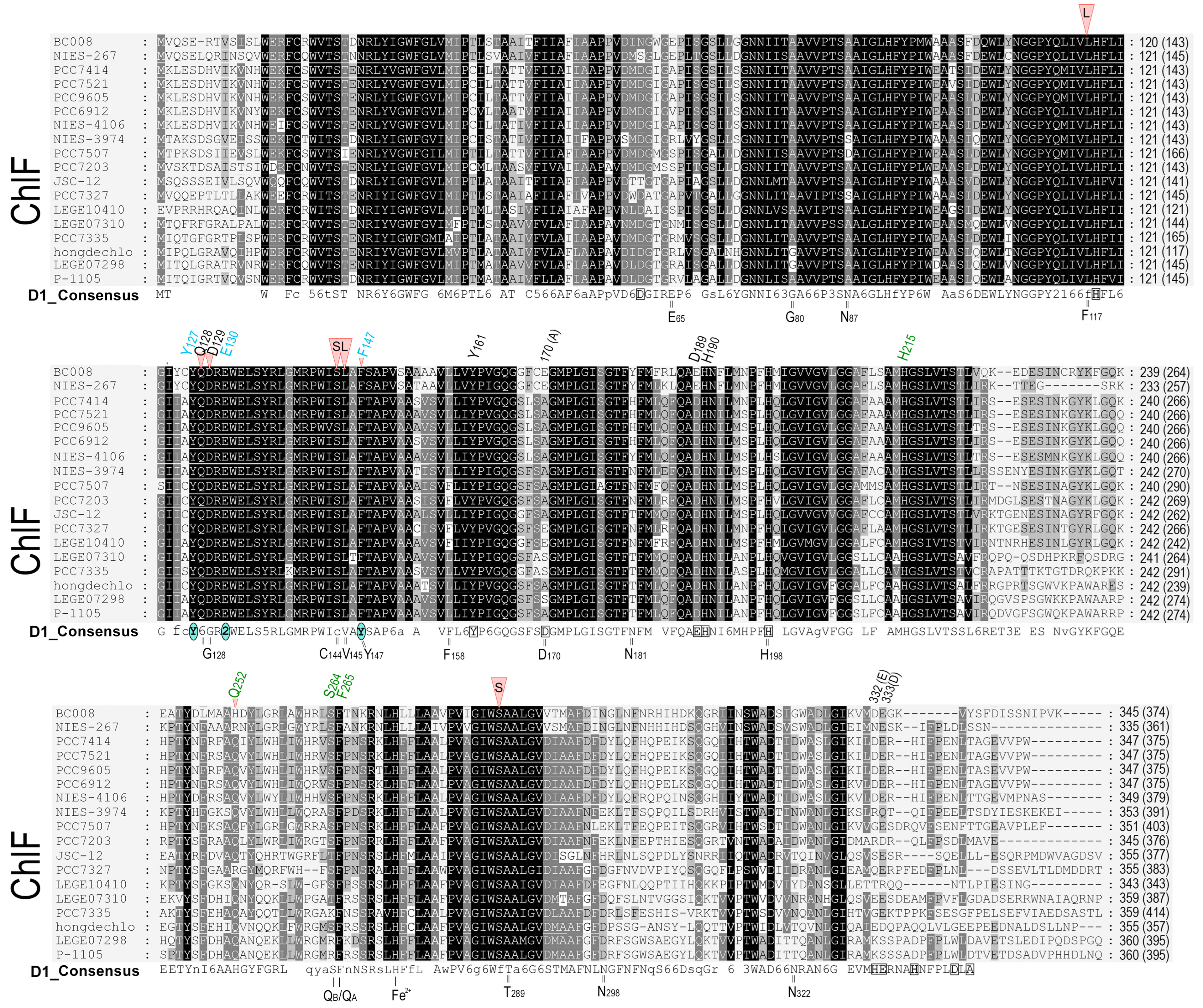Microorganisms 11 02305 g003