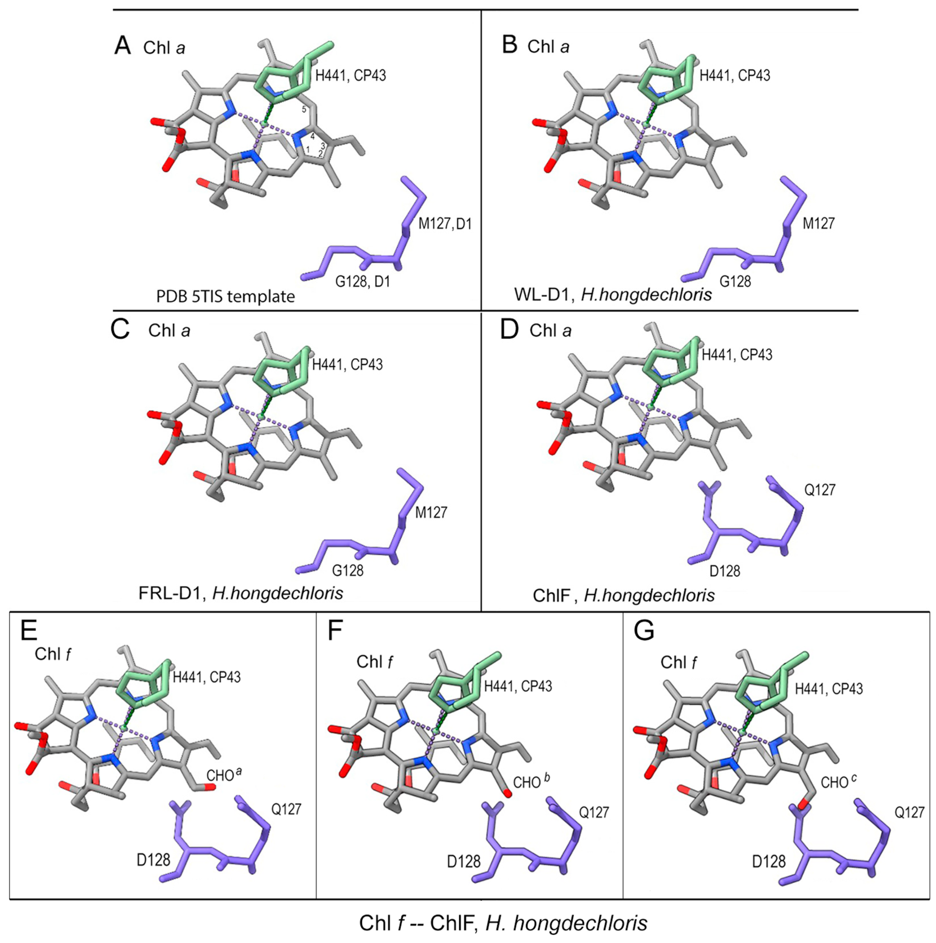 Microorganisms 11 02305 g006