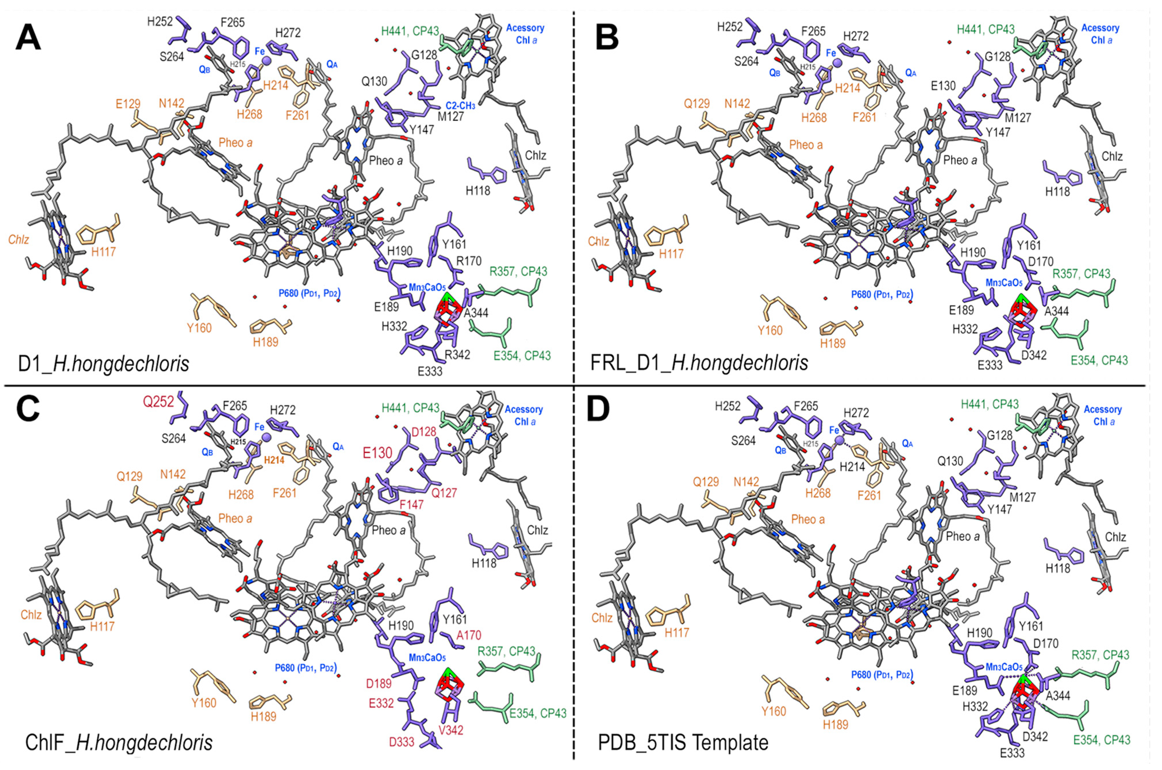 Microorganisms 11 02305 g007