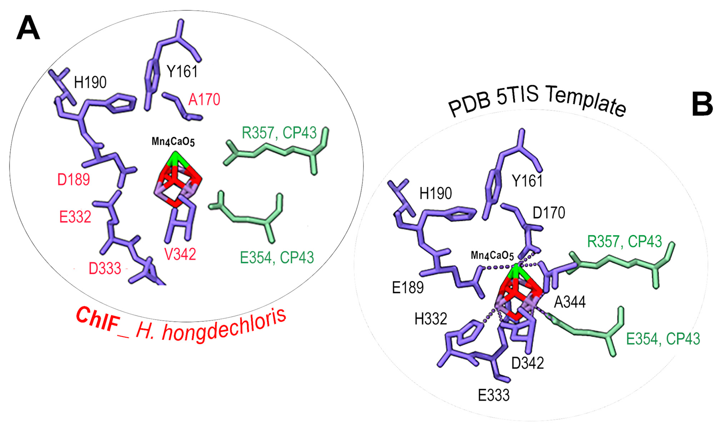 Microorganisms 11 02305 g008