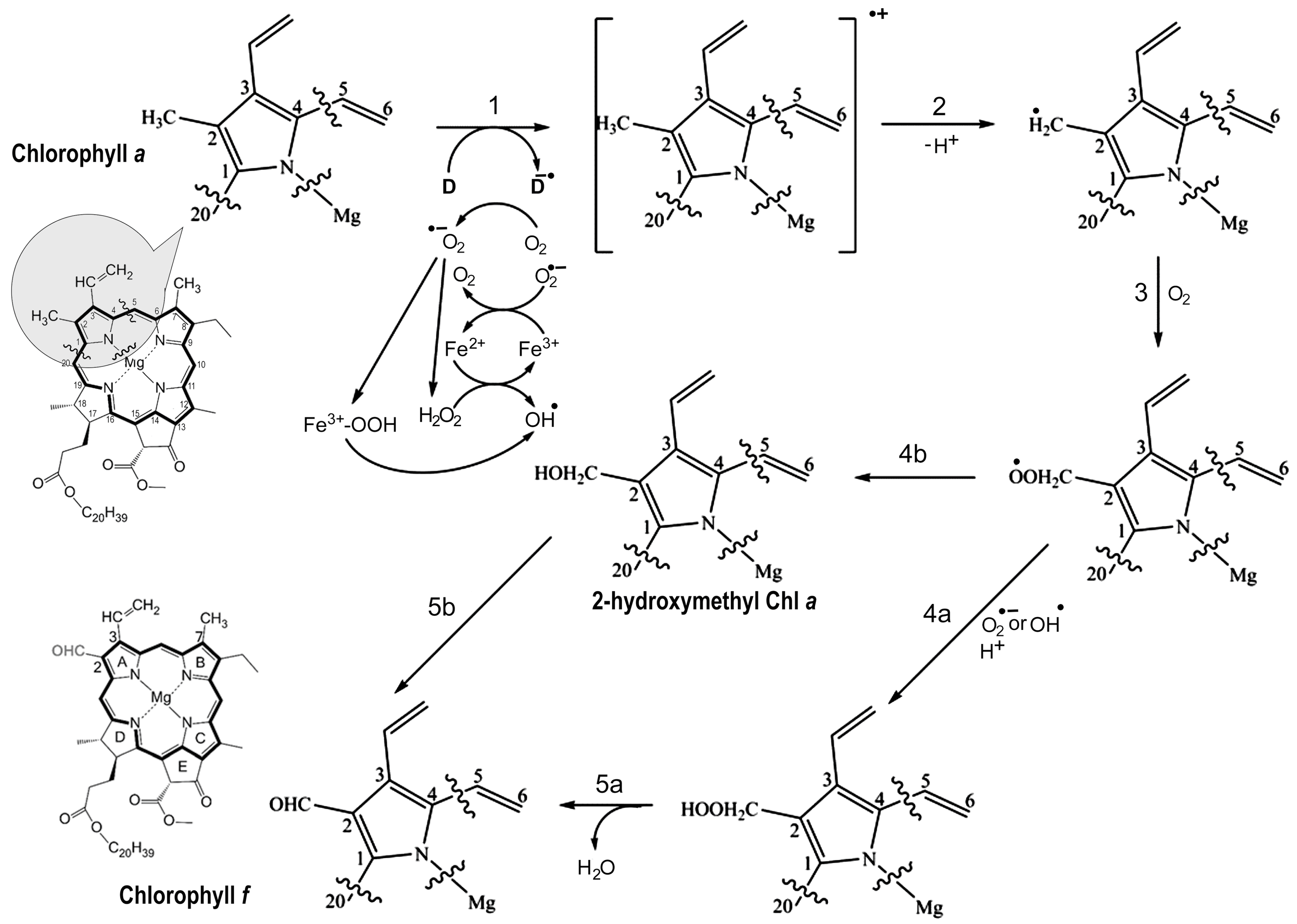 Microorganisms 11 02305 g009