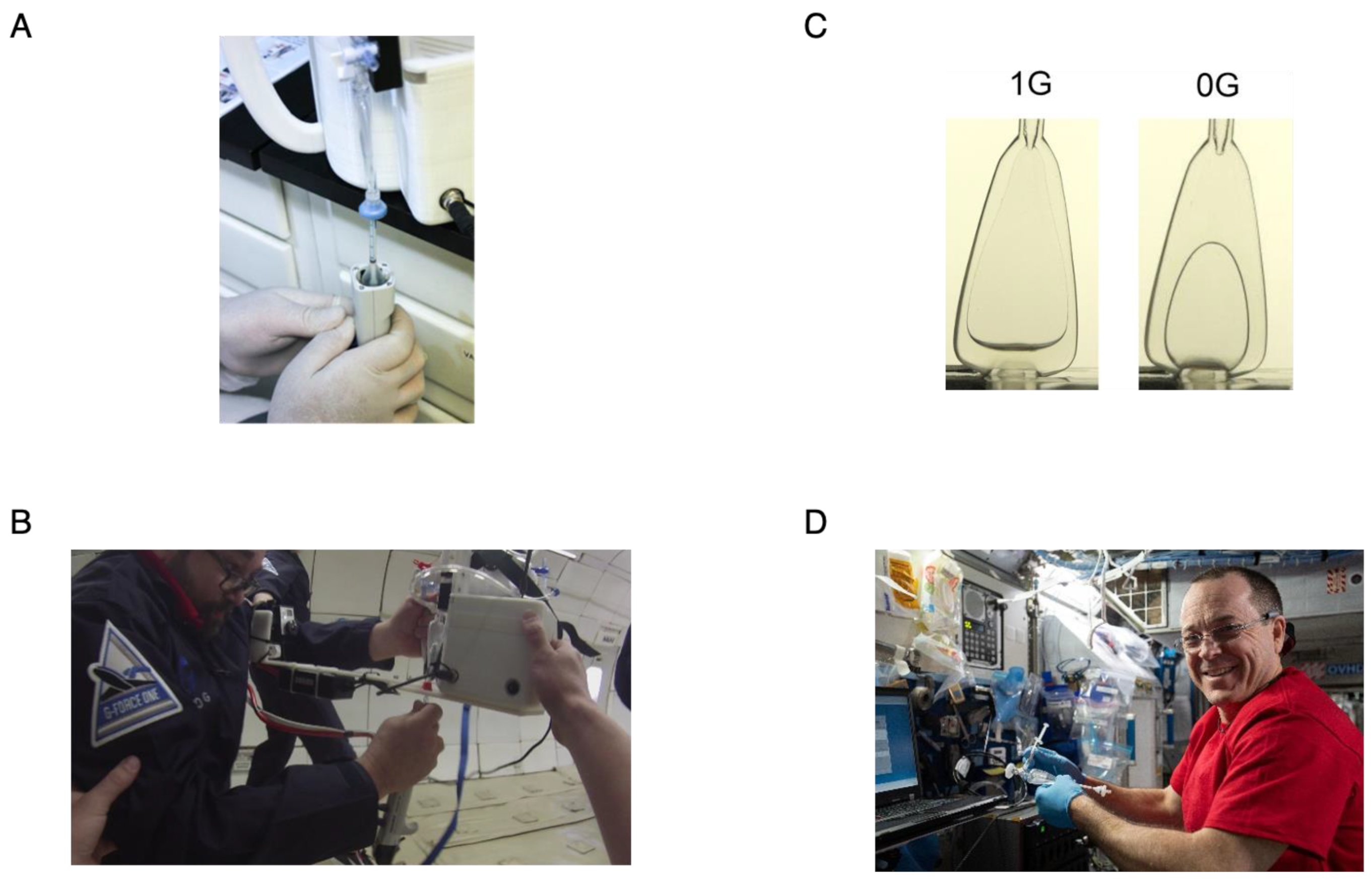 Microorganisms 11 02310 g003 Microorganisms 11 02310 g003