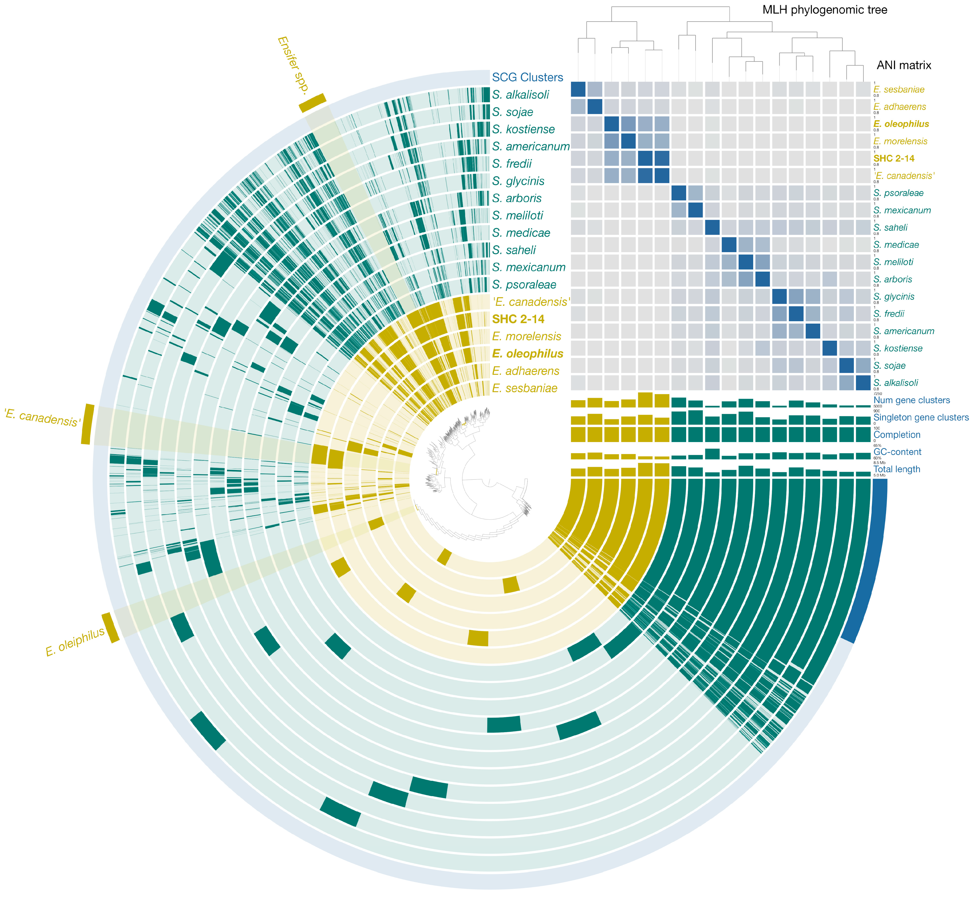 Microorganisms 11 02314 g004