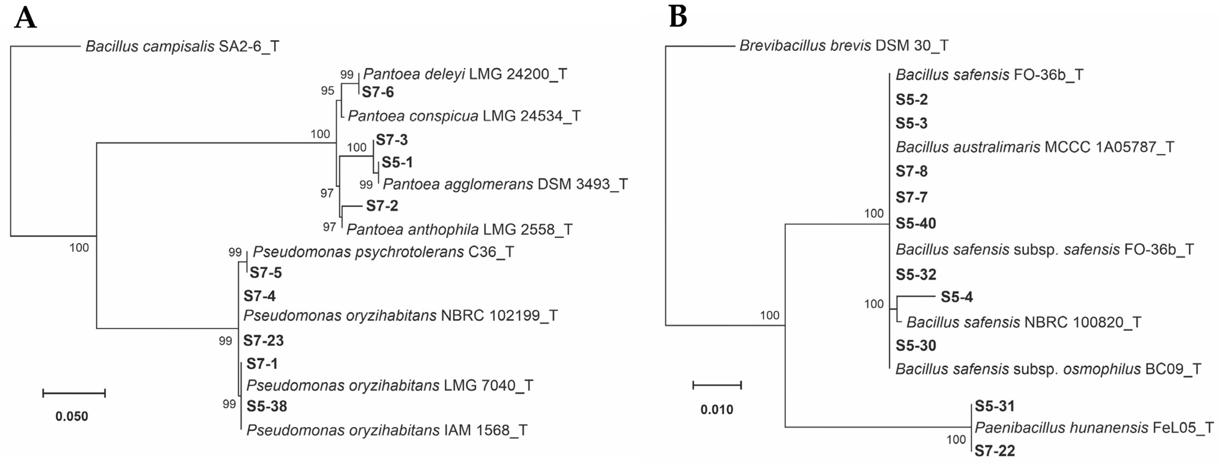 Microorganisms 11 02317 g001