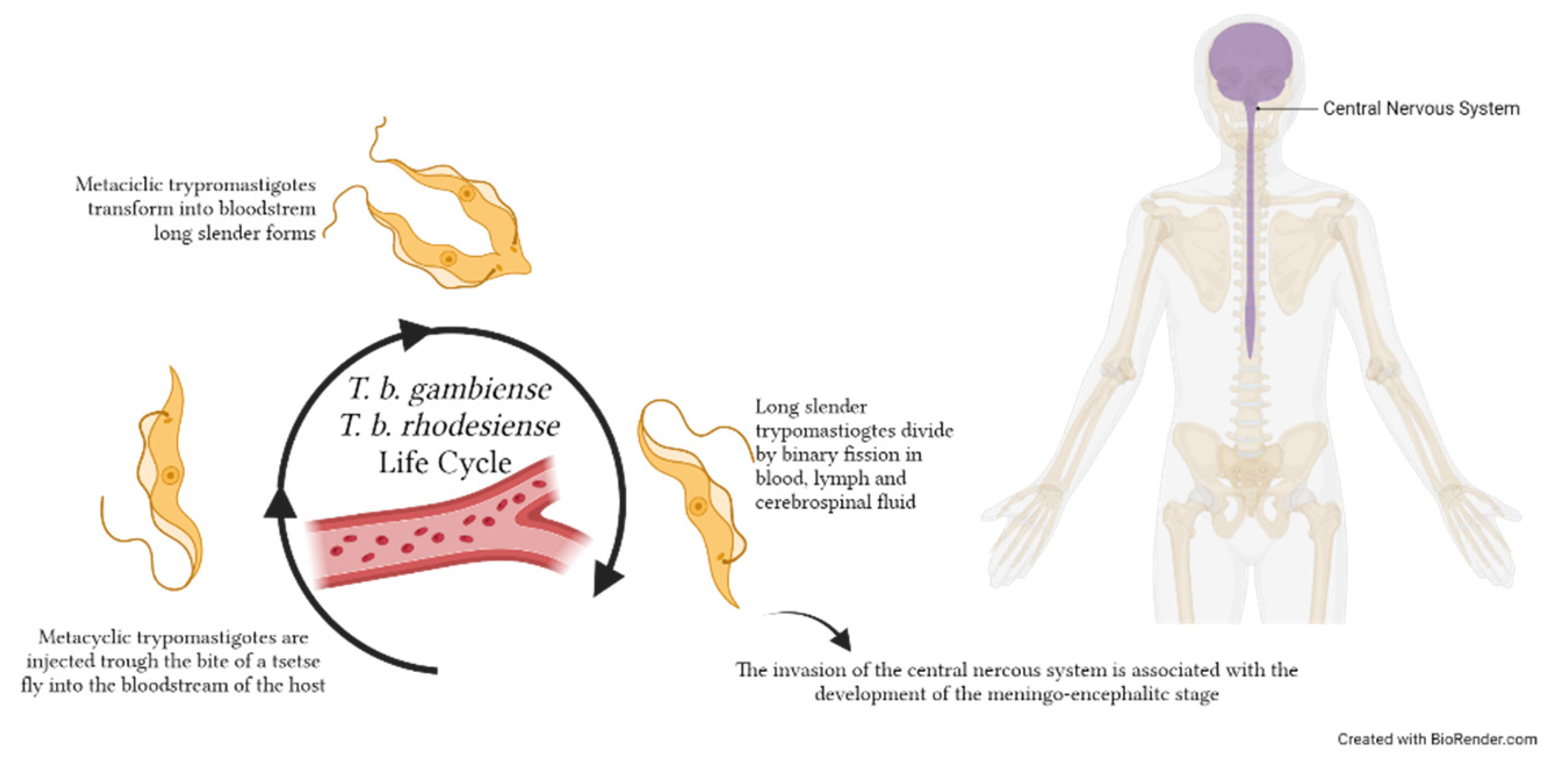 Microorganisms 11 02318 g004