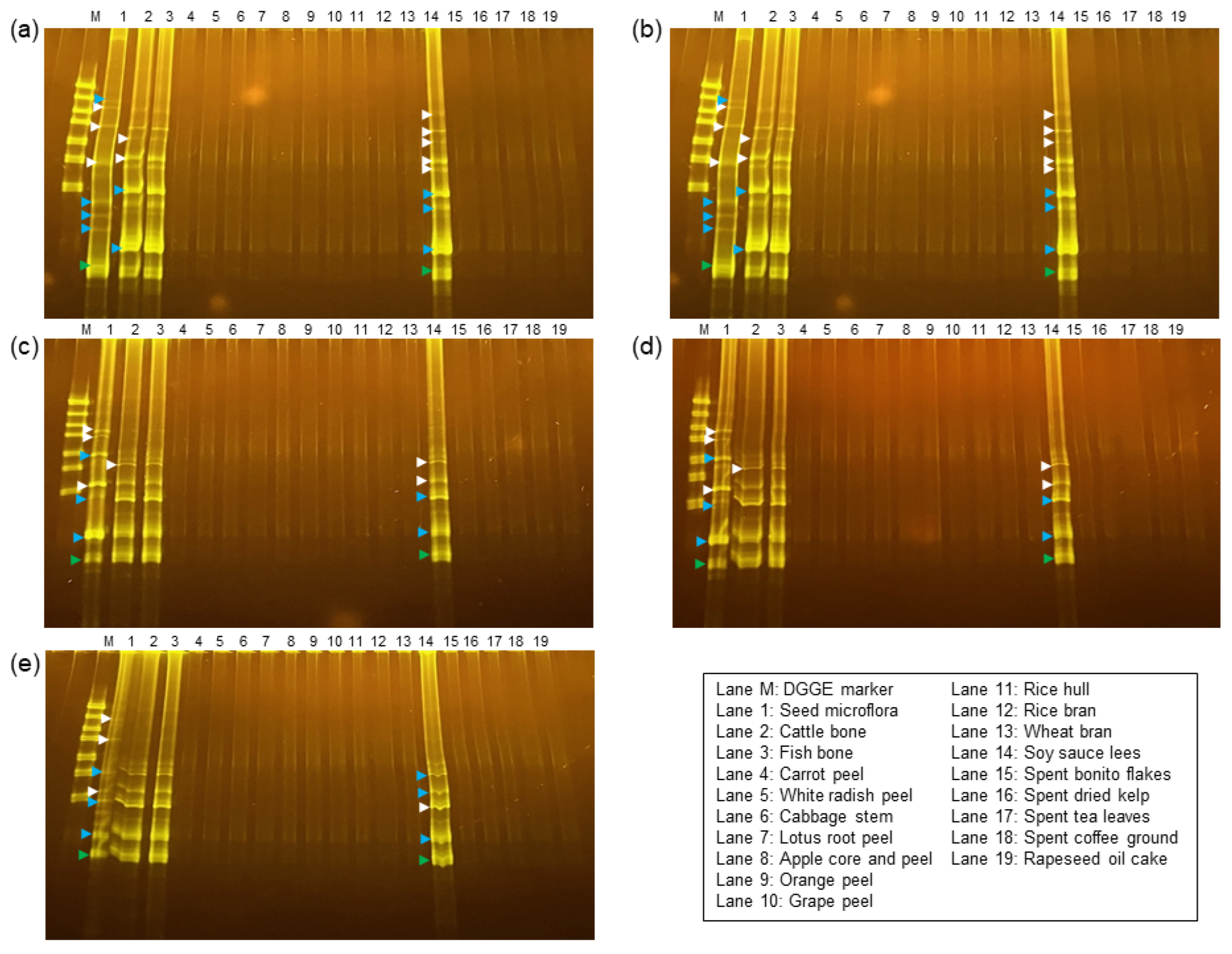 Microorganisms 11 02321 g002