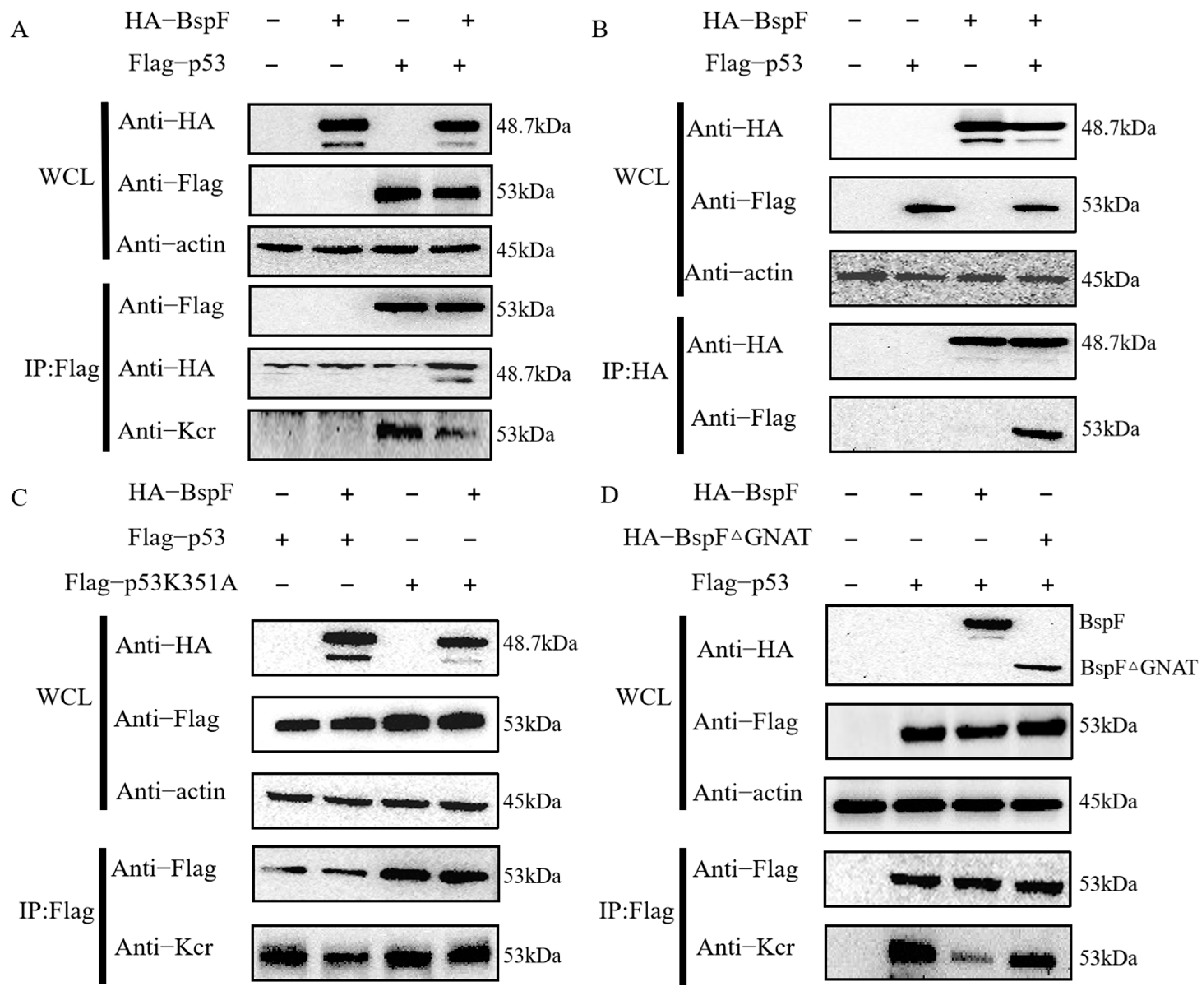 Microorganisms 11 02322 g001