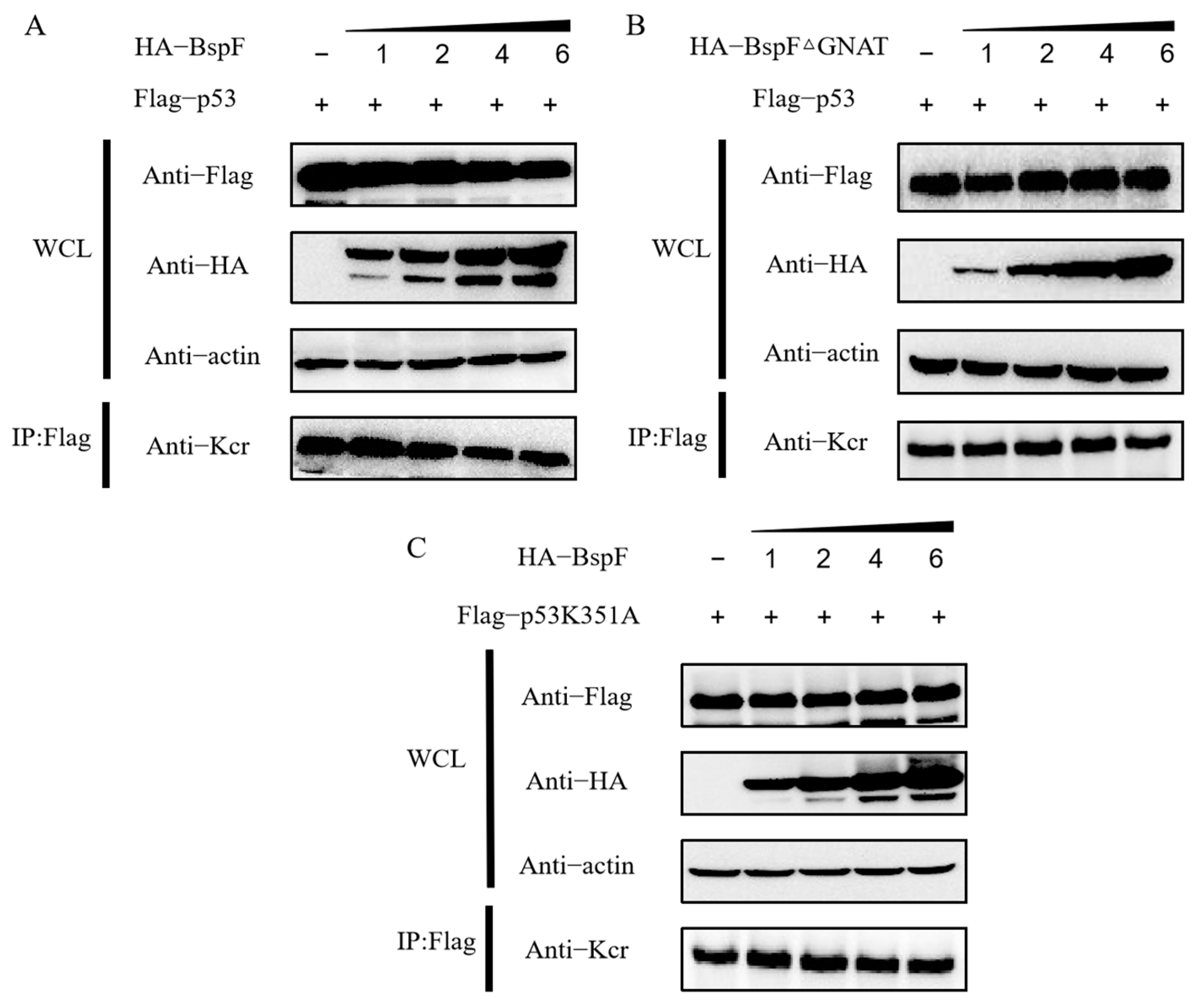 Microorganisms 11 02322 g002