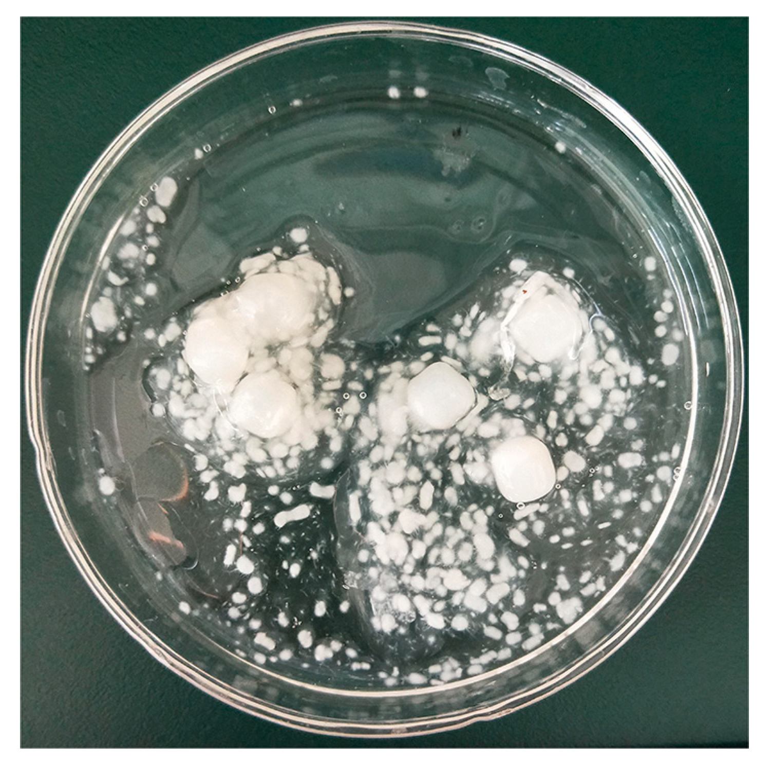 Microorganisms 11 02331 g003