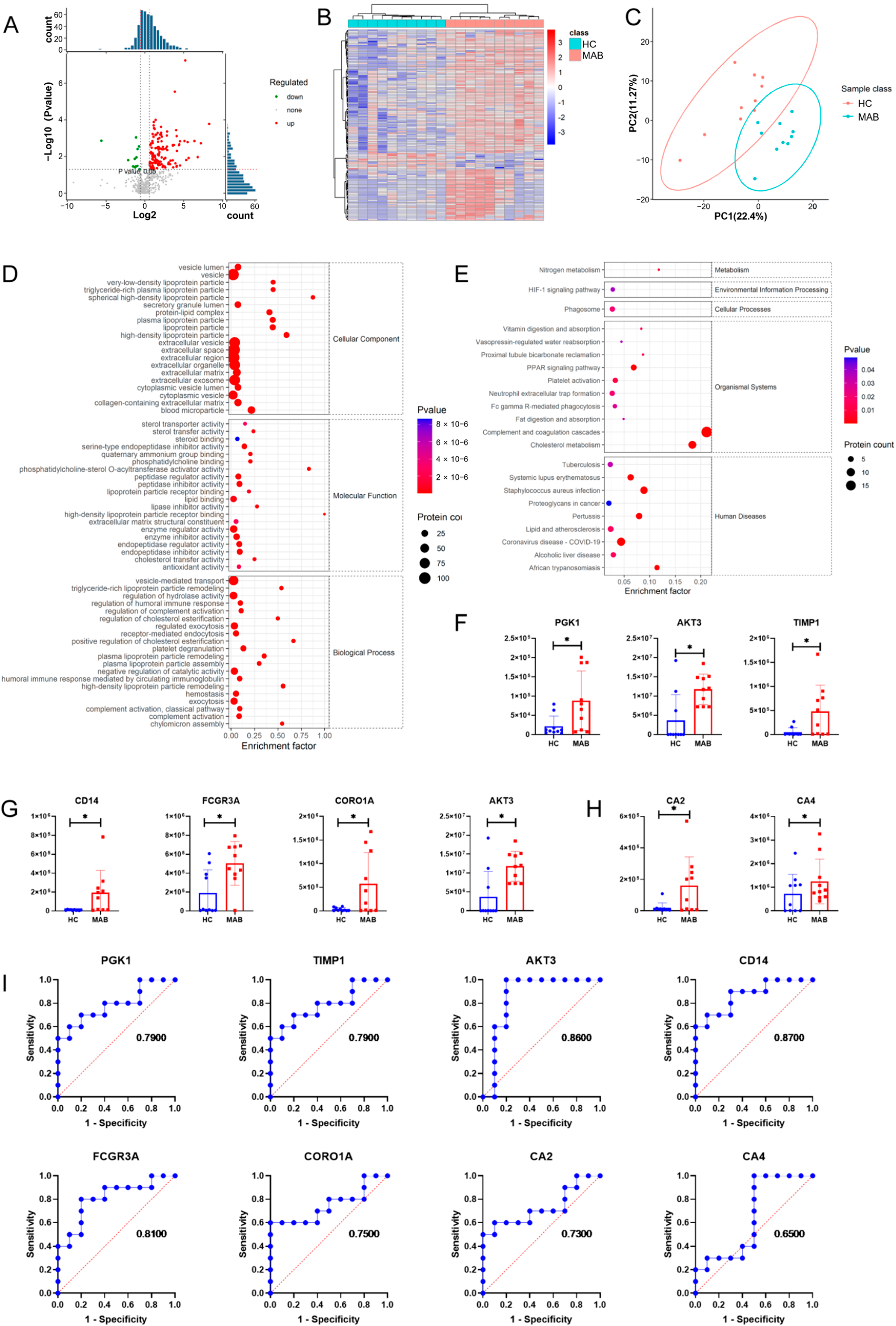 Microorganisms 11 02334 g002