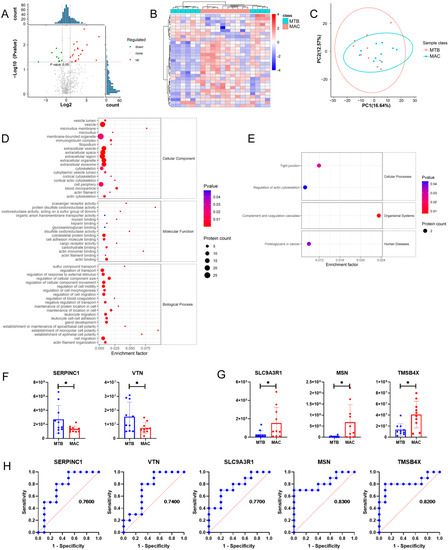 Microorganisms | Free Full-Text | Comparative Proteomic Analysis of ...