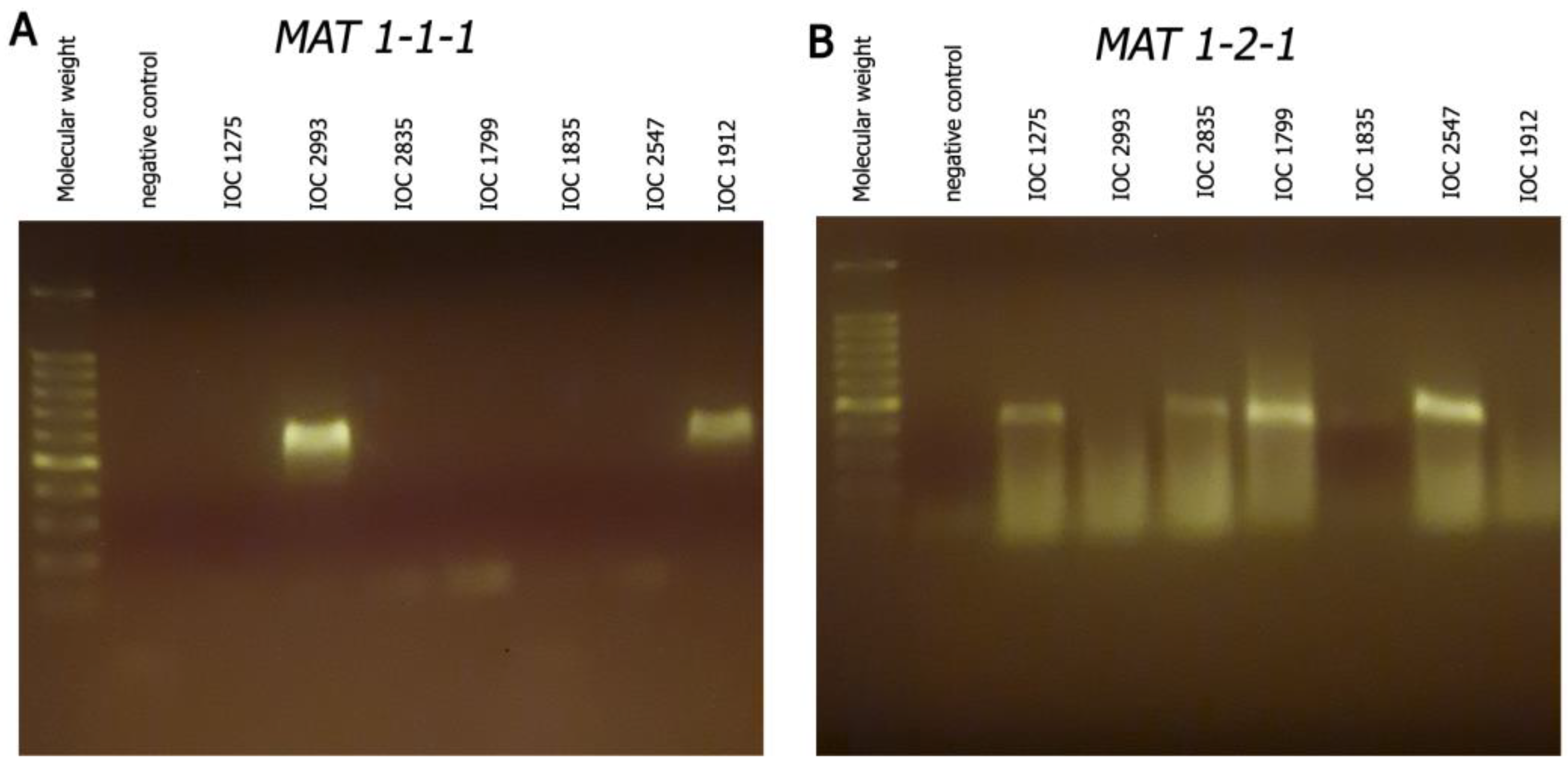 Microorganisms 11 02335 g001 Microorganisms 11 02335 g001