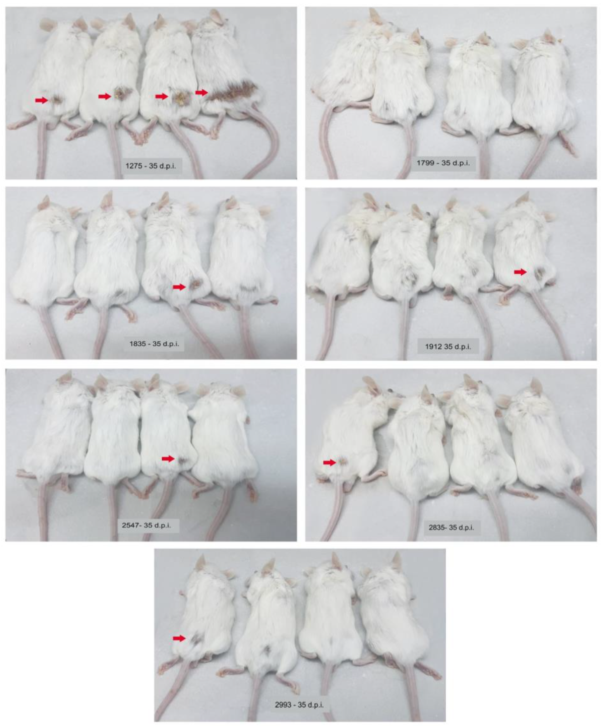 Microorganisms 11 02335 g002 Microorganisms 11 02335 g002